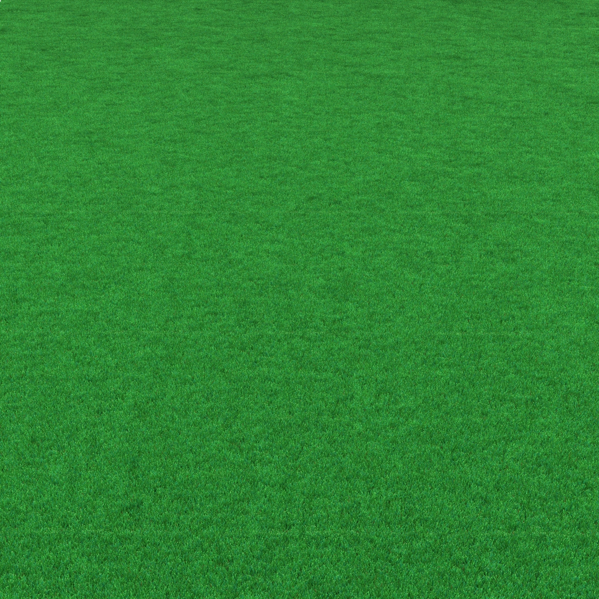 Kentucky Bluegrass Grass 3D model