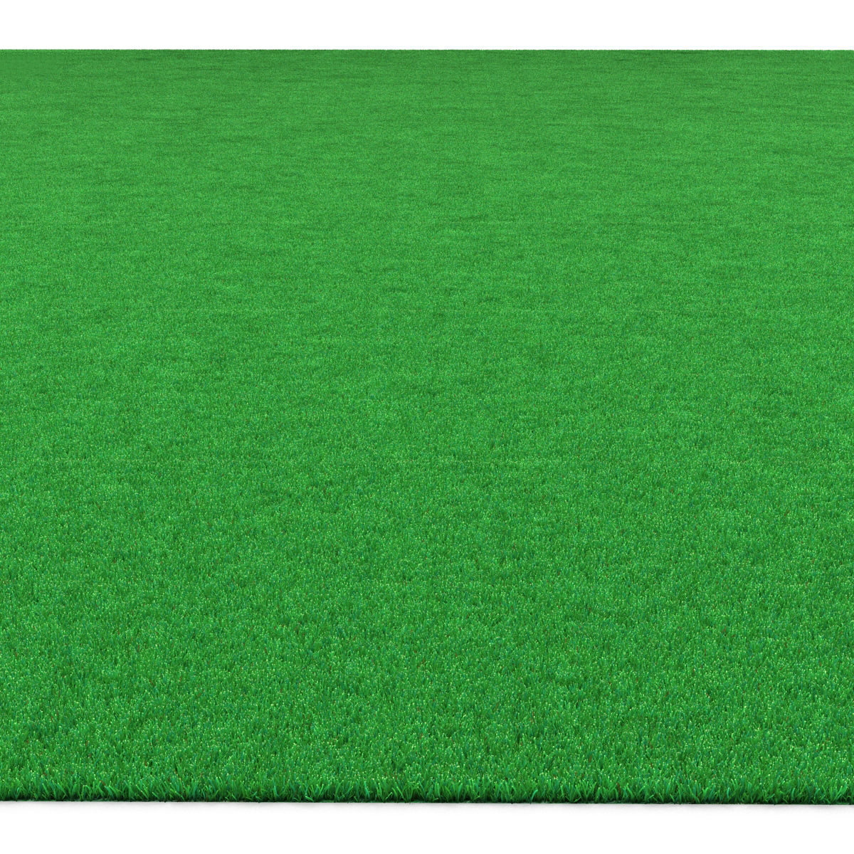 Kentucky Bluegrass Grass 3D model