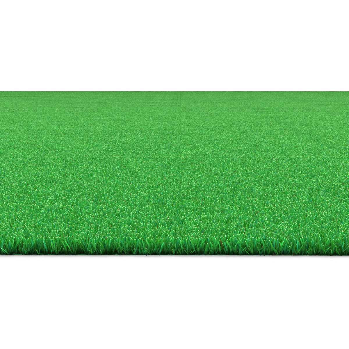 Kentucky Bluegrass Grass 3D model