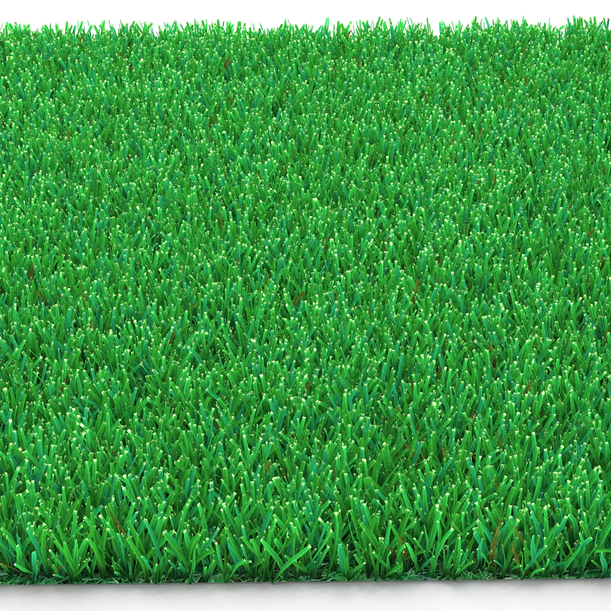 Kentucky Bluegrass Grass 3D model