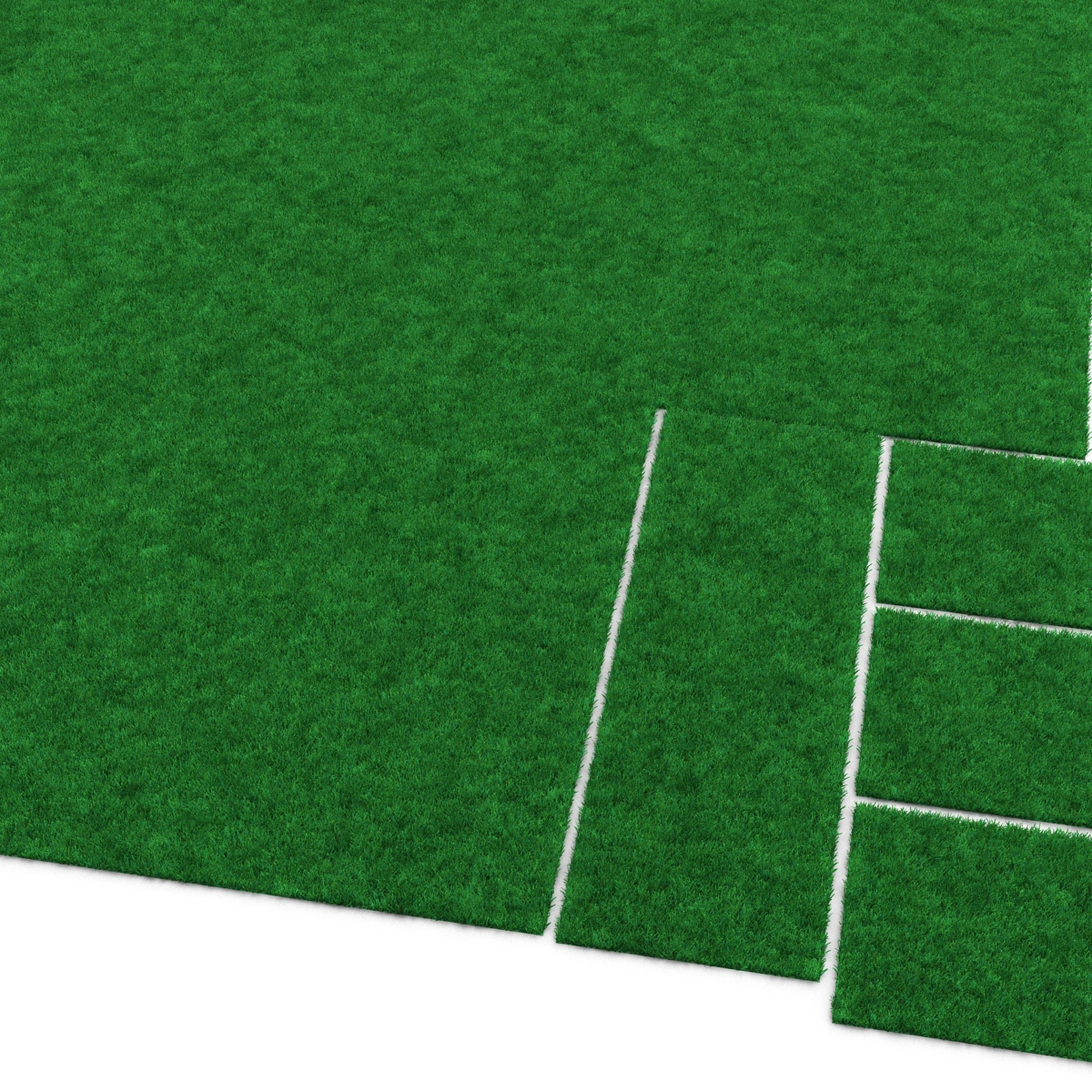 Kentucky Bluegrass Grass 3D model