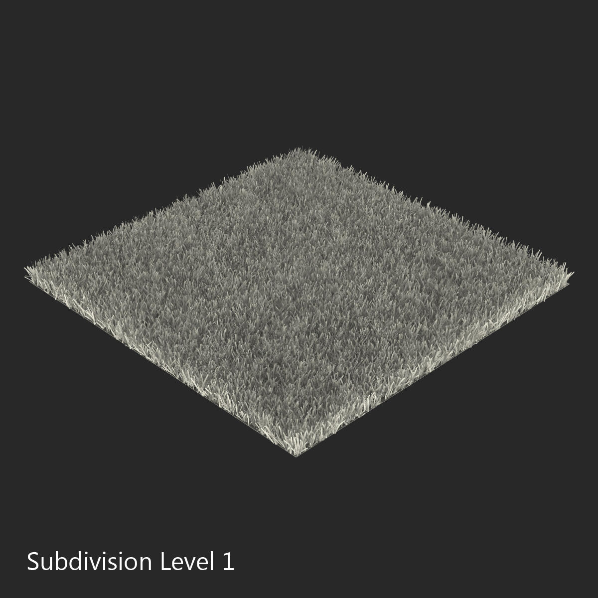 Kentucky Bluegrass Grass 3D model