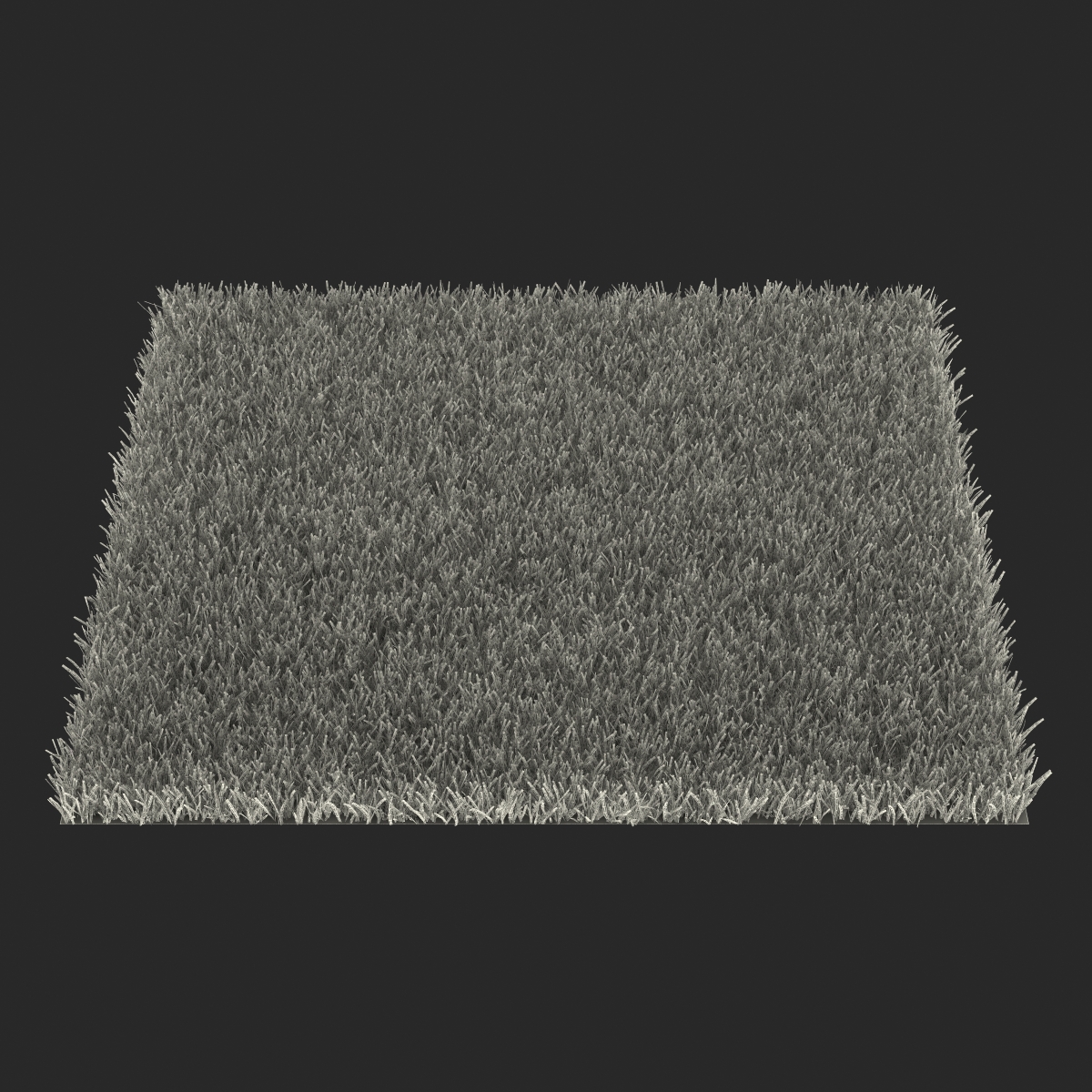 Kentucky Bluegrass Grass 3D model