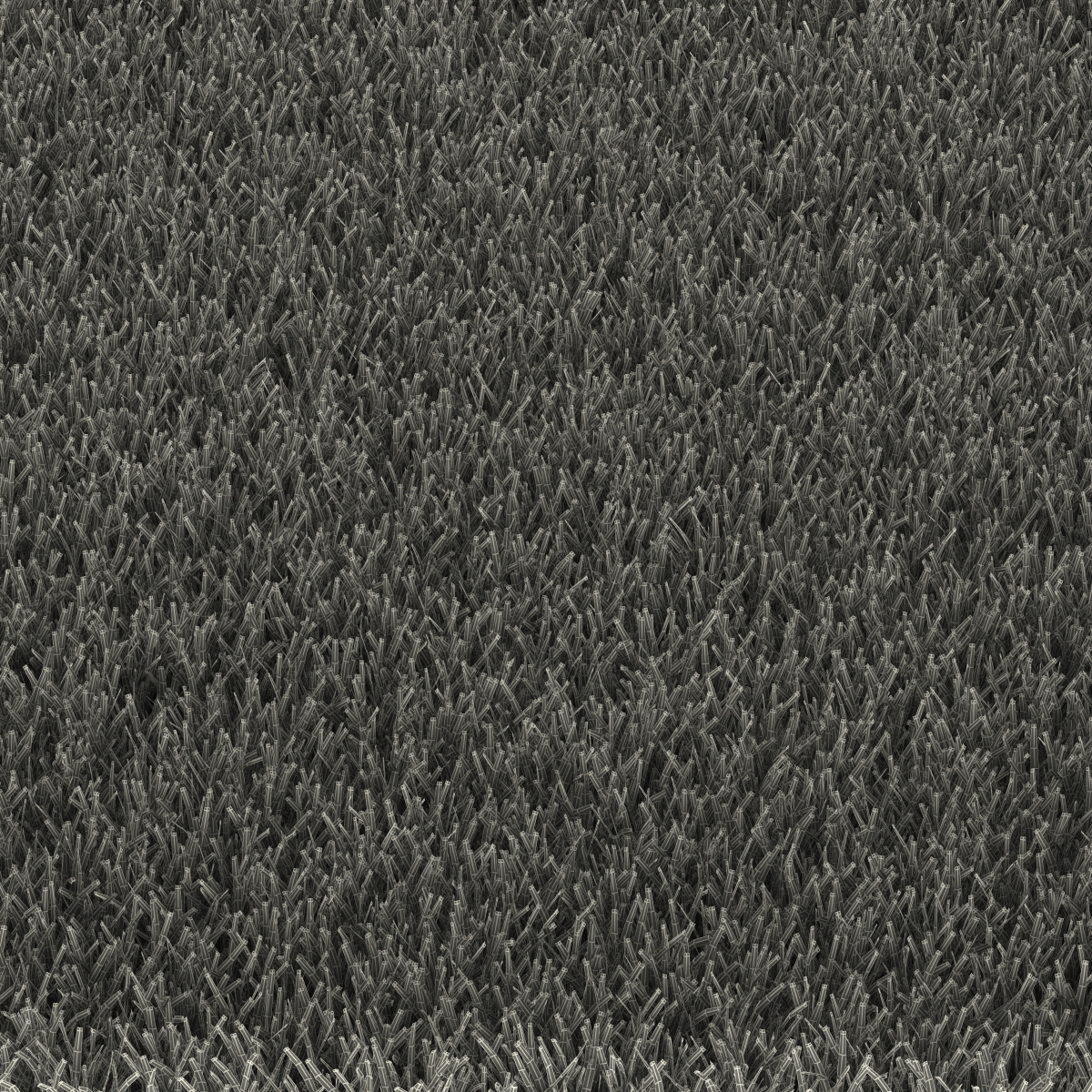 Kentucky Bluegrass Grass 3D model