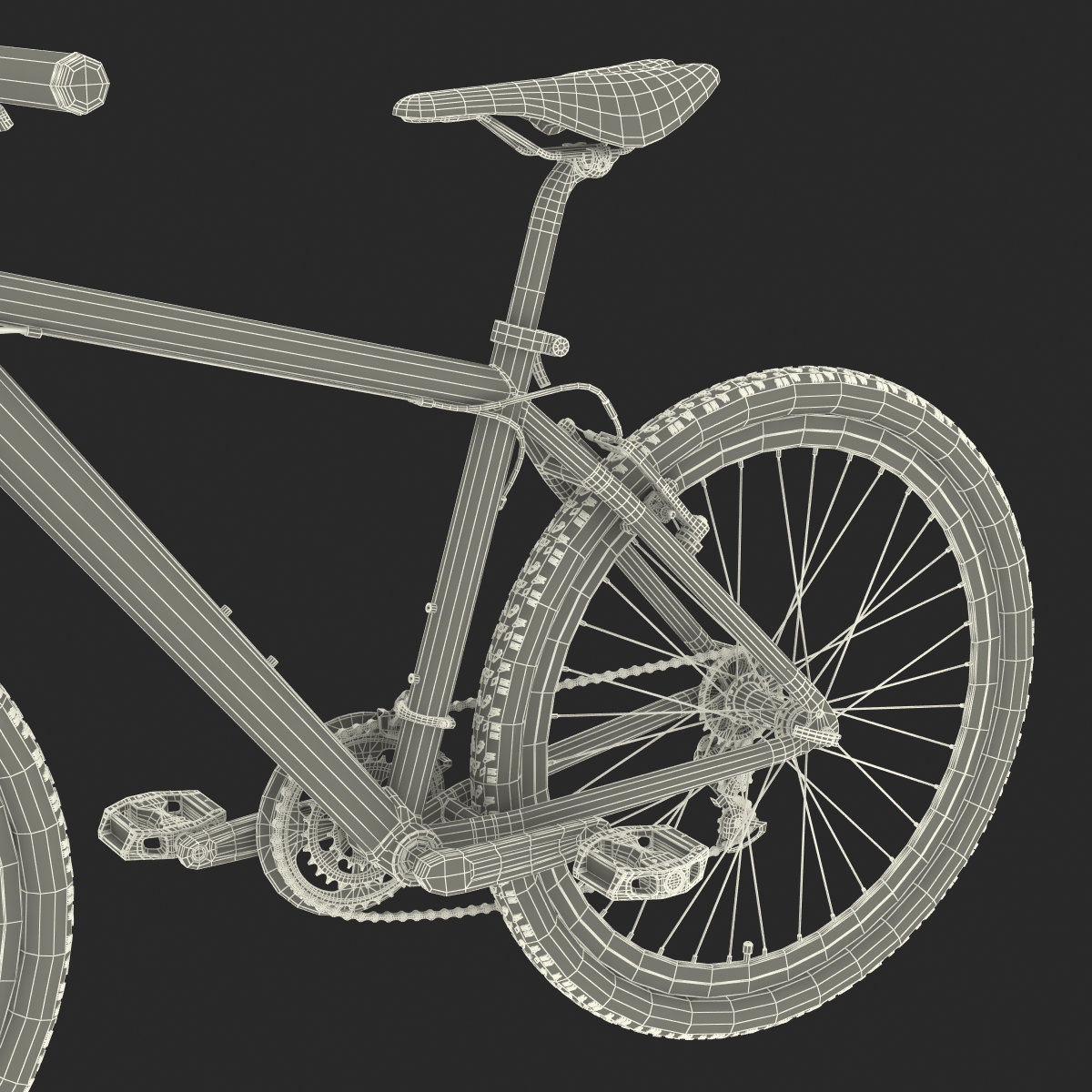 3D Mountain Bike model