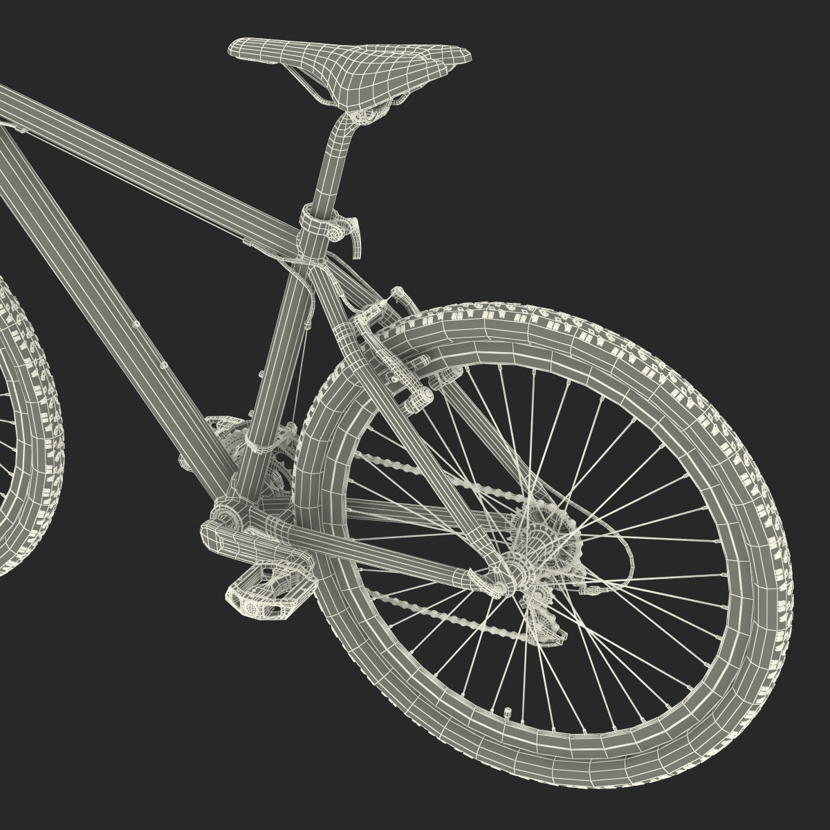 3D Mountain Bike model