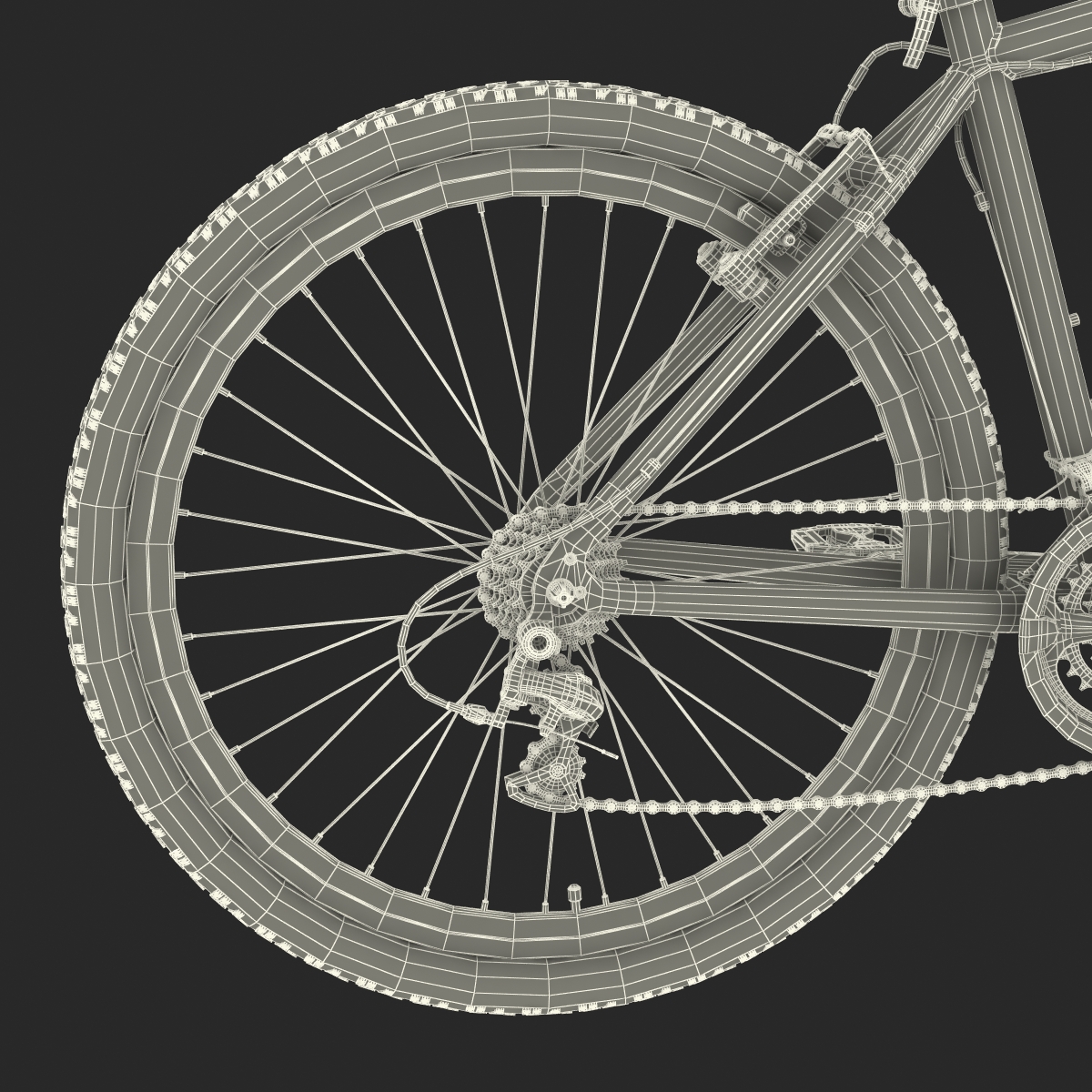 3D Mountain Bike model