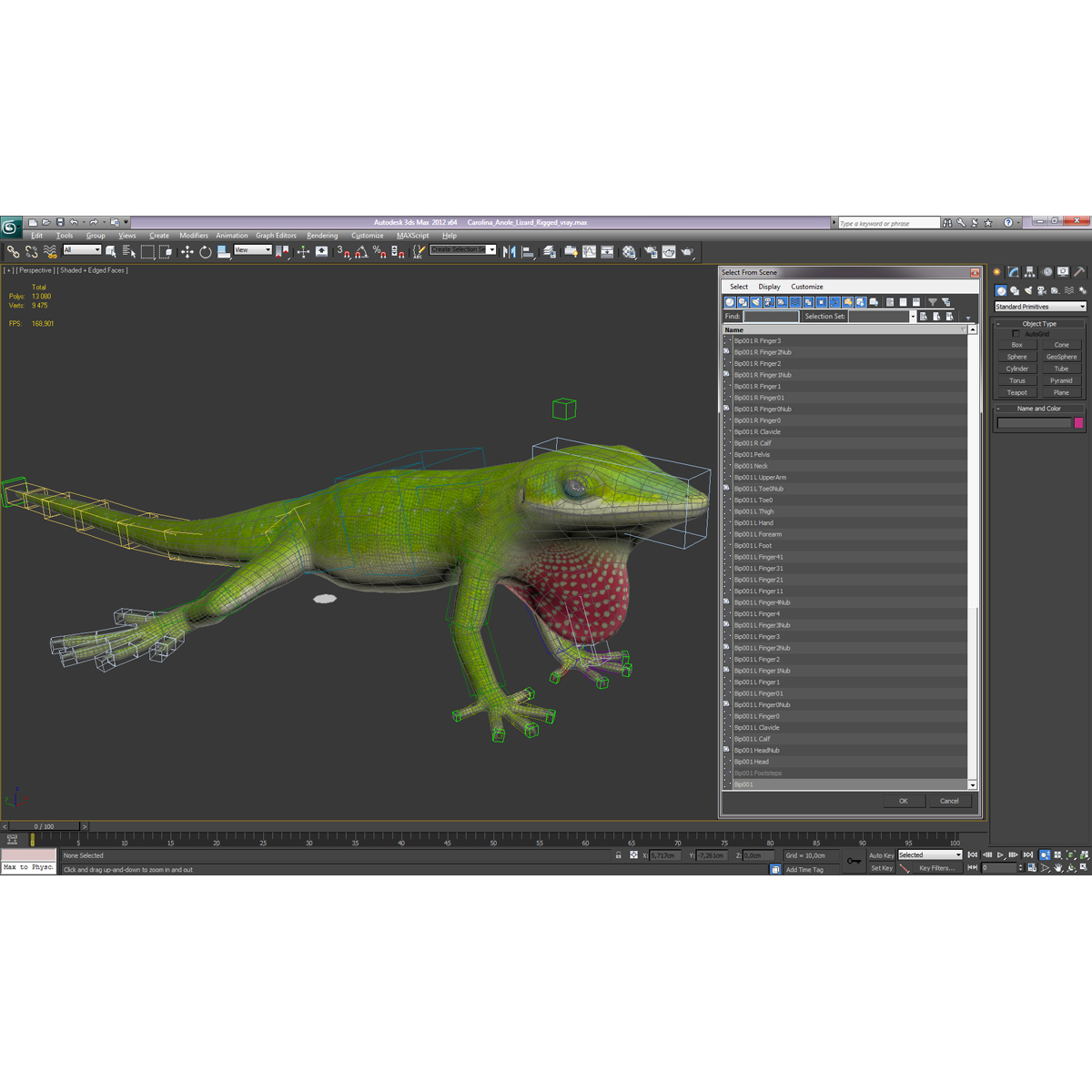 Carolina Anole Lizard Rigged for Cinema 4D 3D