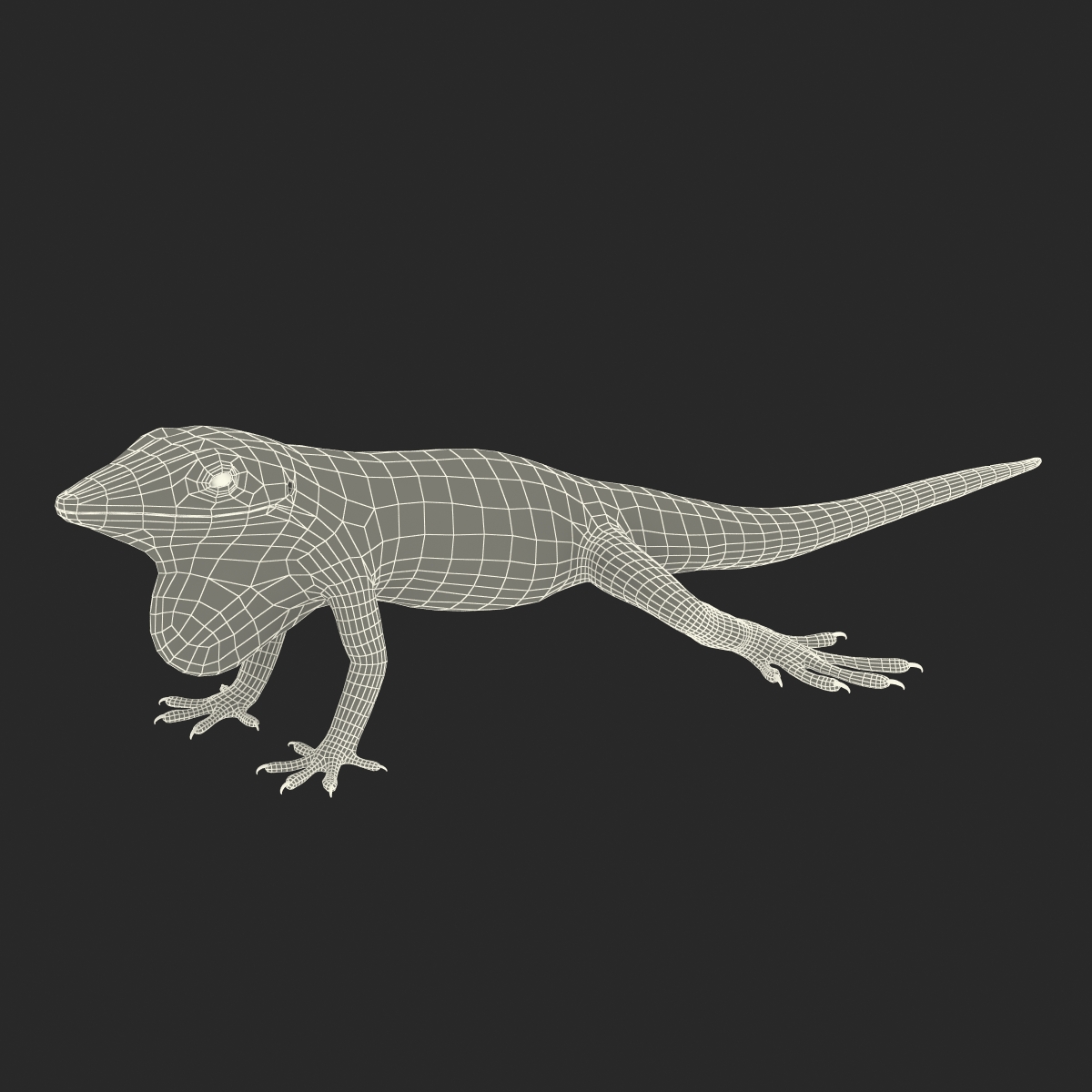 Carolina Anole Lizard Rigged for Cinema 4D 3D