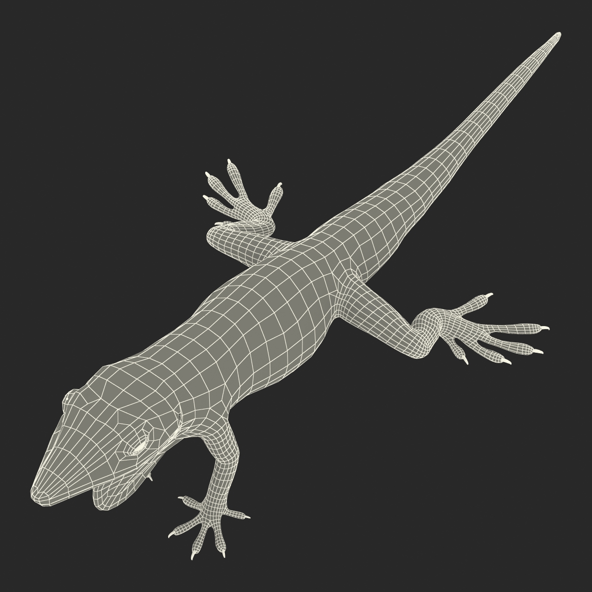 Carolina Anole Lizard Rigged for Cinema 4D 3D