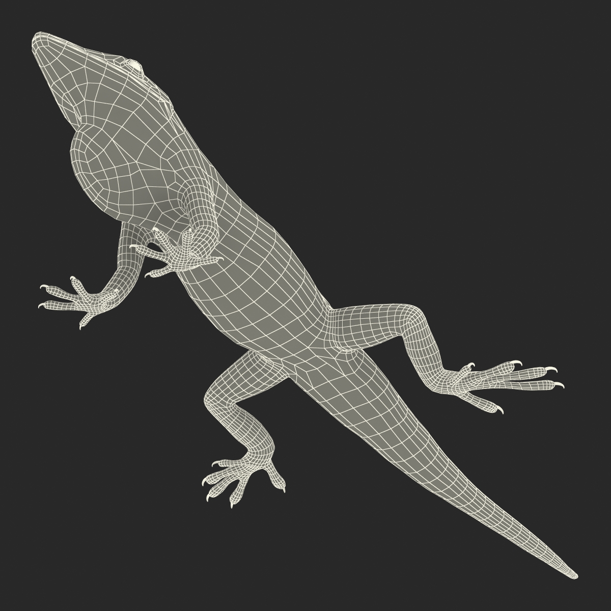 Carolina Anole Lizard Rigged for Cinema 4D 3D