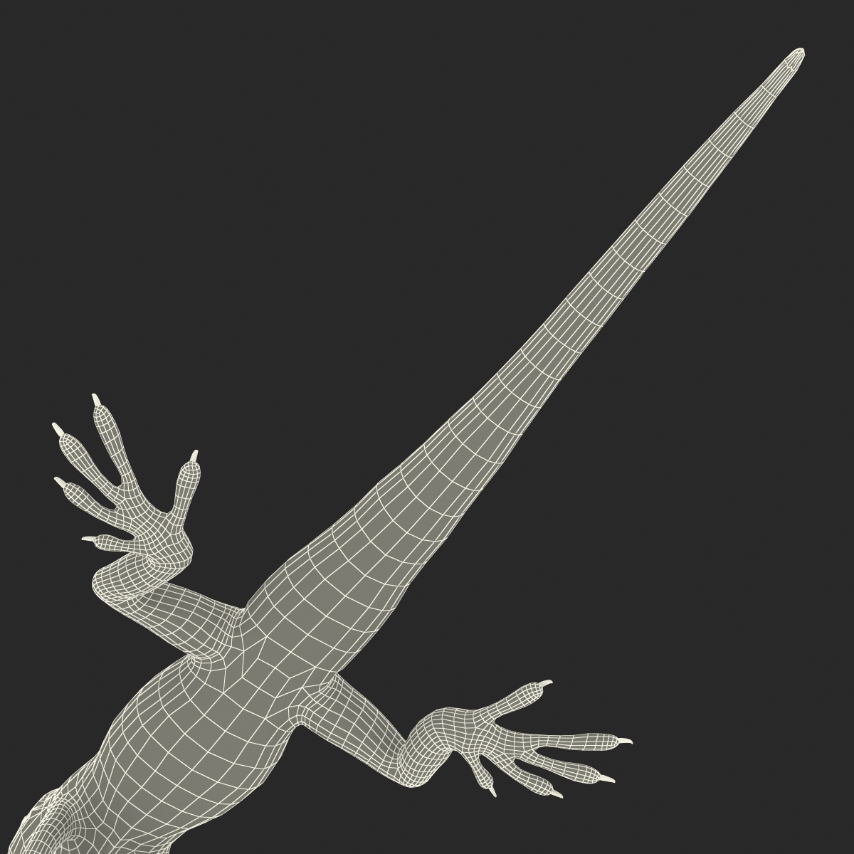 Carolina Anole Lizard Rigged for Cinema 4D 3D