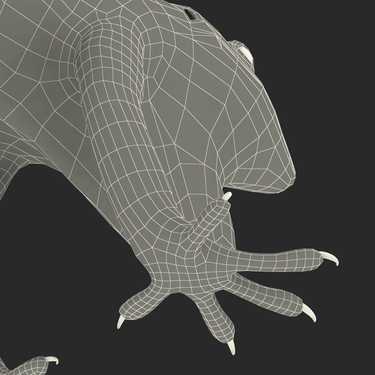 Carolina Anole Lizard Rigged for Cinema 4D 3D