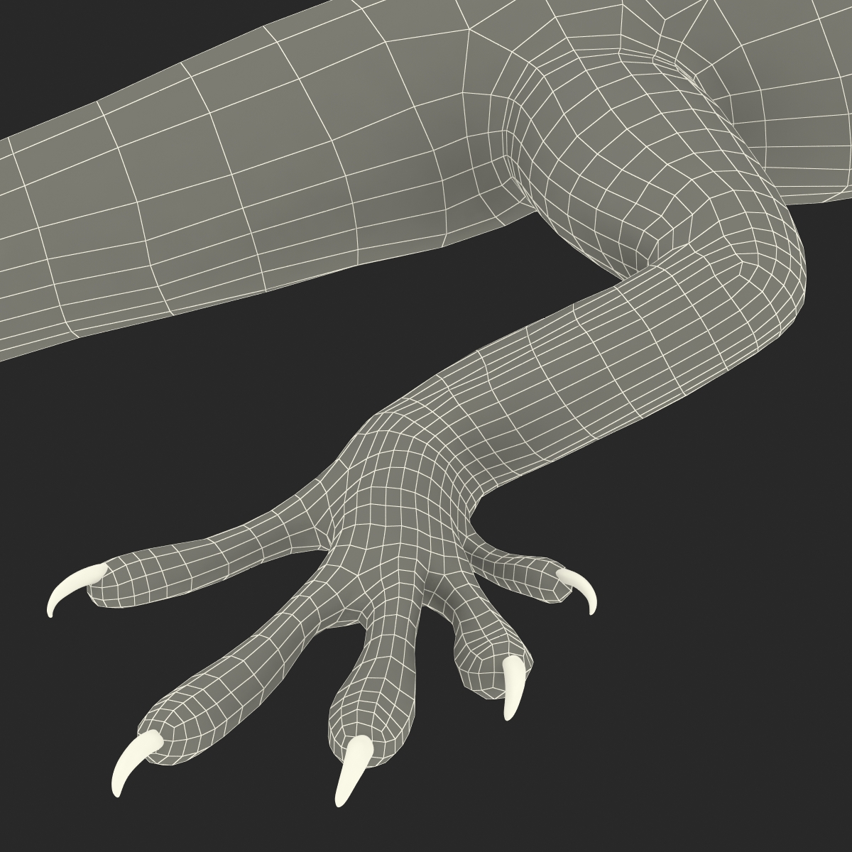 Carolina Anole Lizard Rigged for Cinema 4D 3D