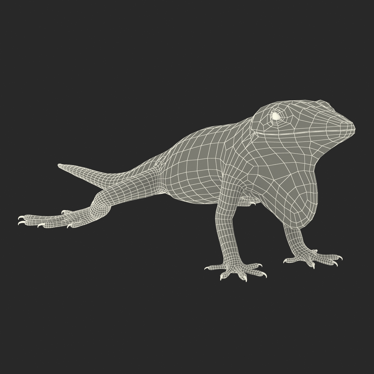 3D Carolina Anole Lizard