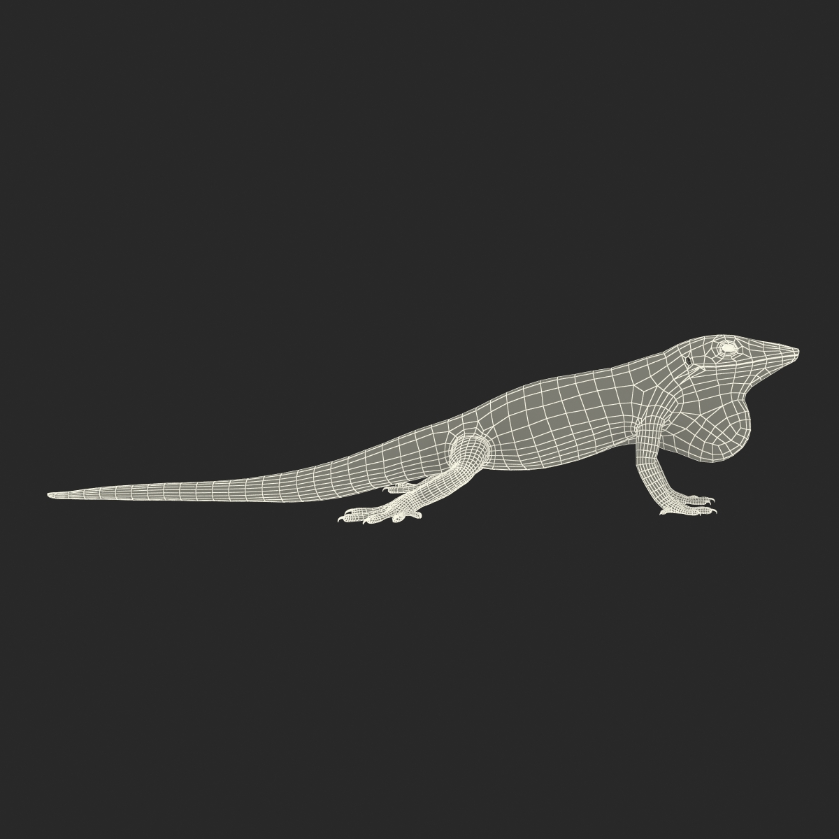 3D Carolina Anole Lizard