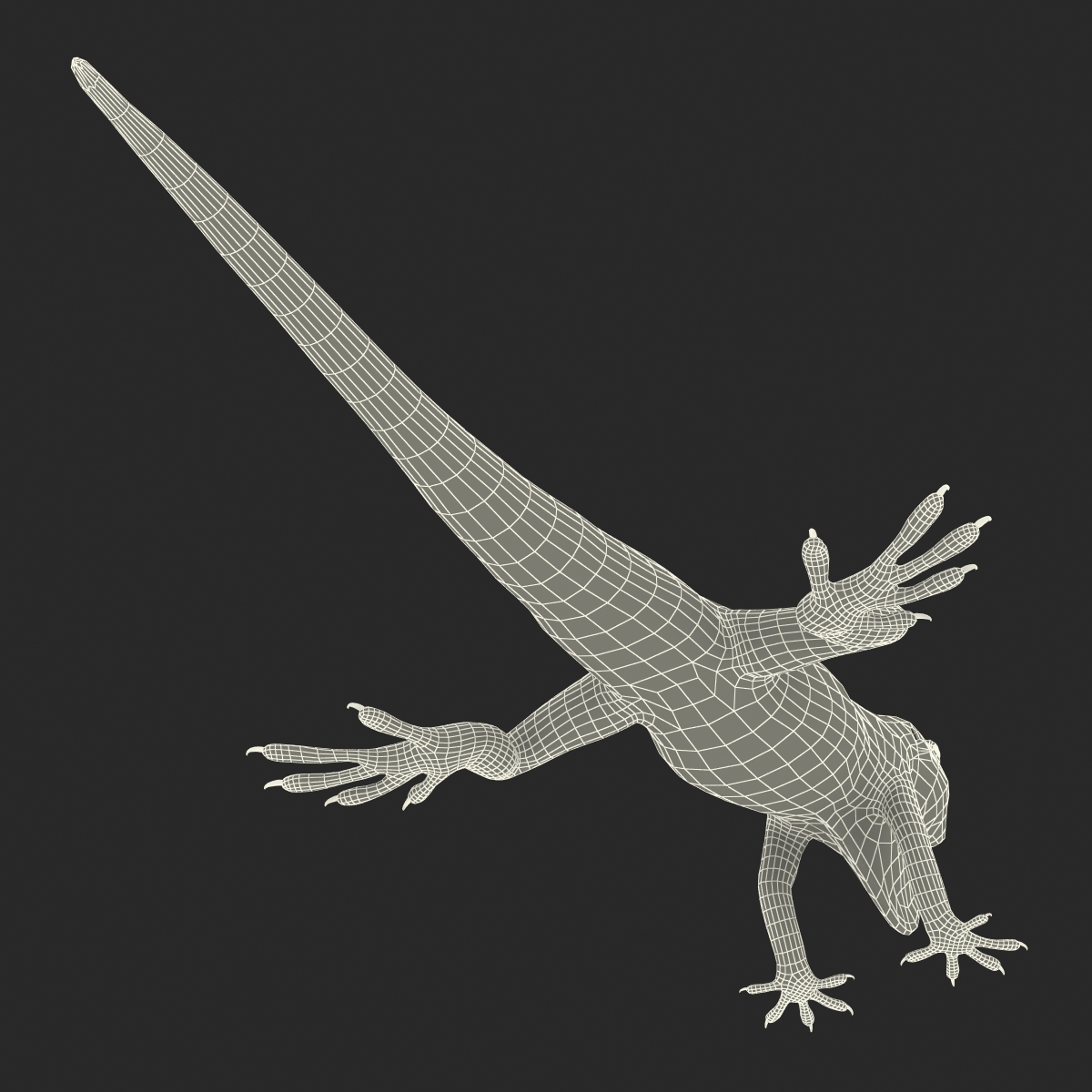 3D Carolina Anole Lizard