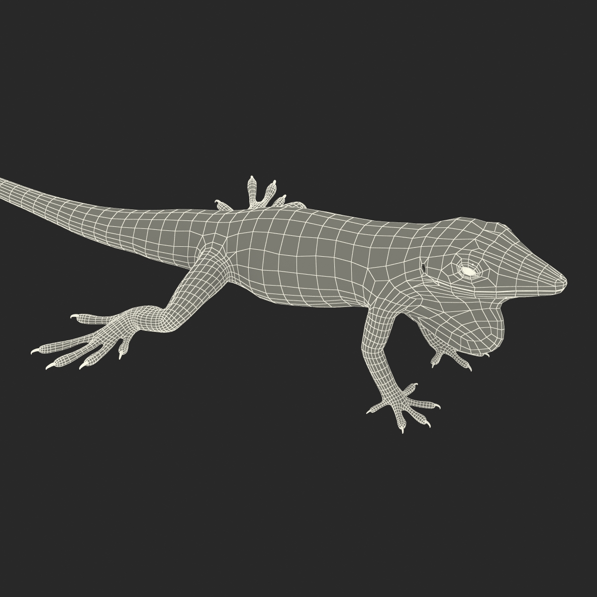 3D Carolina Anole Lizard