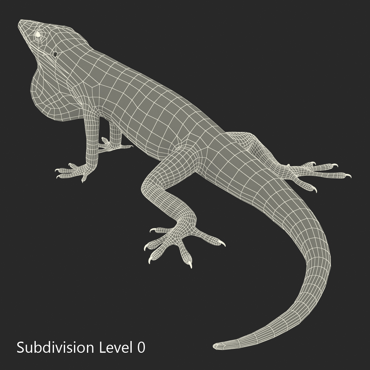 3D Carolina Anole Lizard Pose 2 model