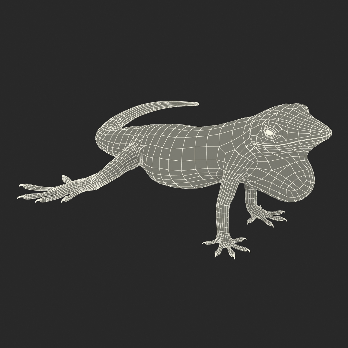 3D Carolina Anole Lizard Pose 2 model