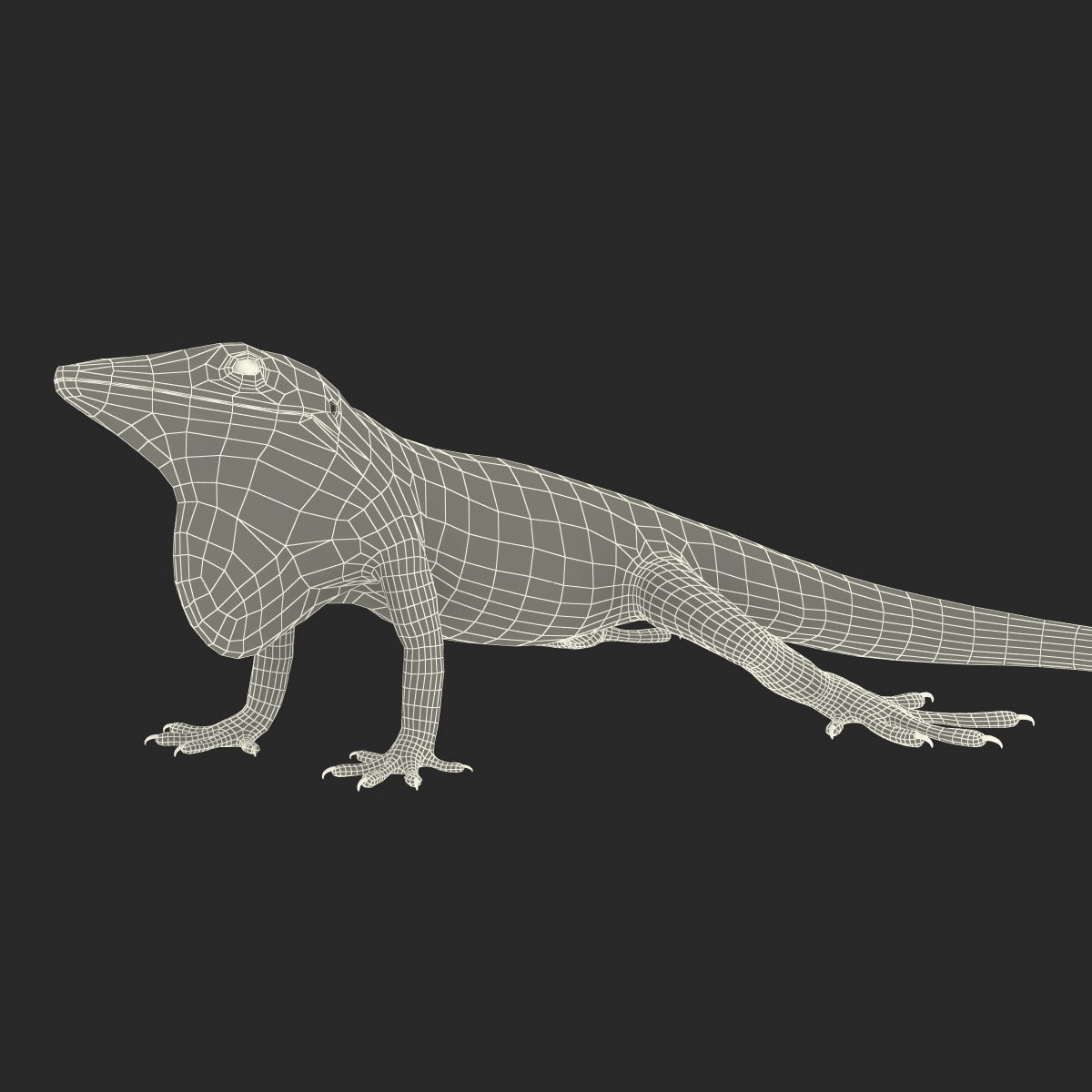 3D Carolina Anole Lizard Pose 2 model