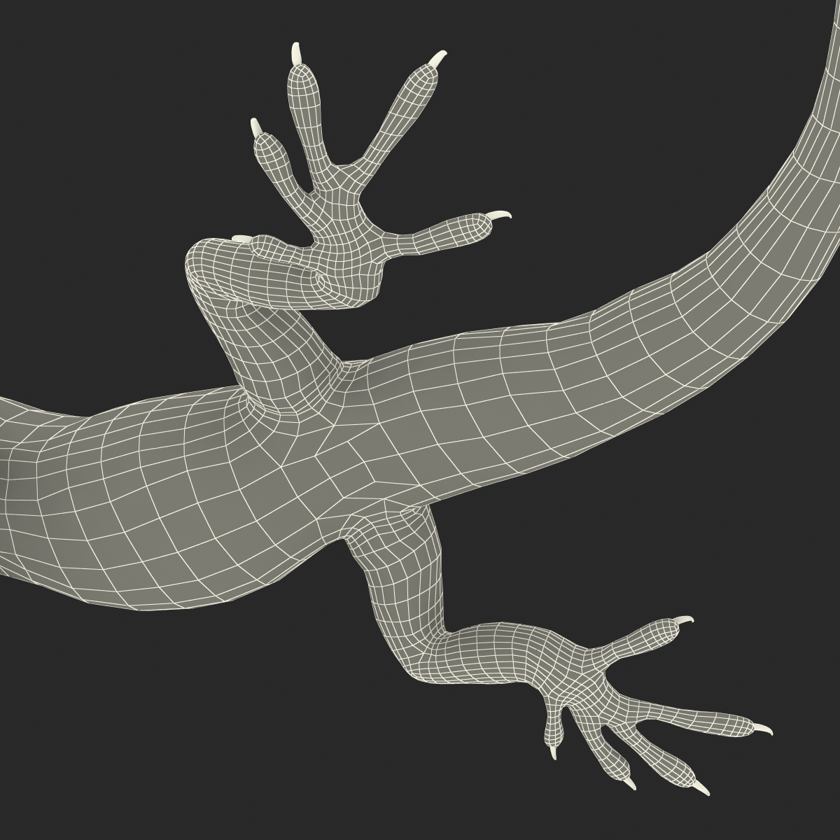 3D Carolina Anole Lizard Pose 2 model