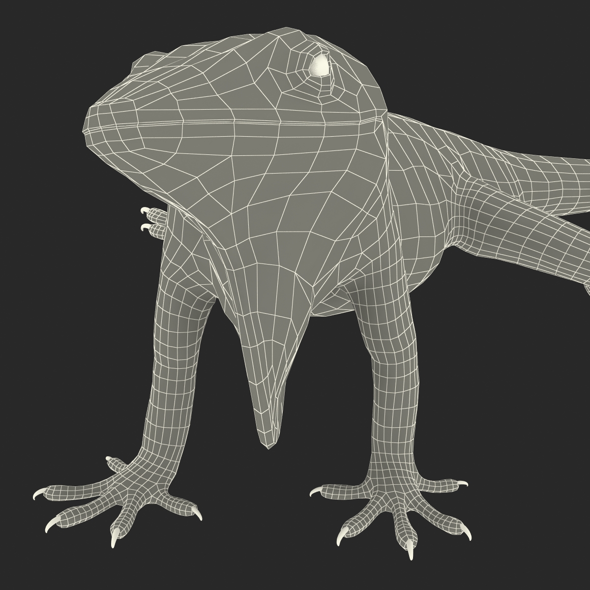 3D Carolina Anole Lizard Pose 2 model