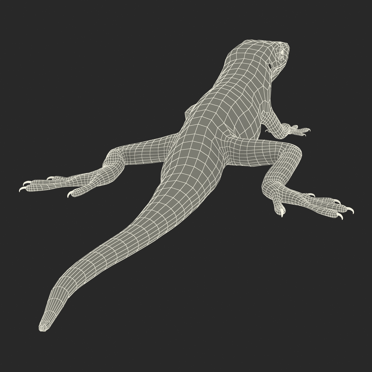 3D Carolina Anole Lizard Pose 3 model