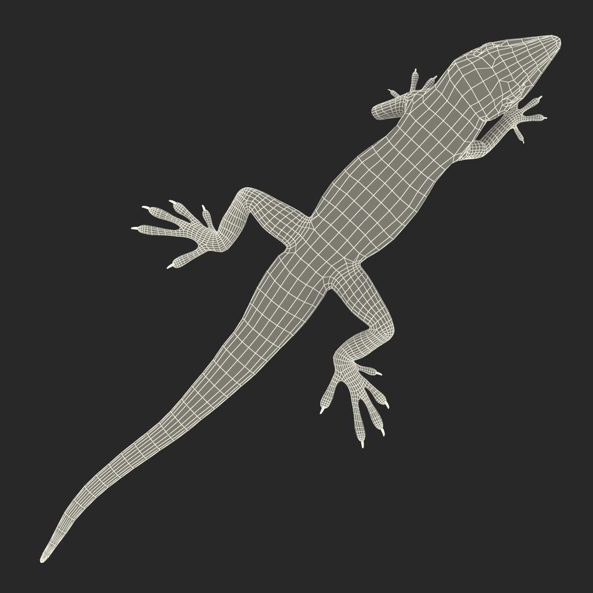 3D Carolina Anole Lizard Pose 3 model