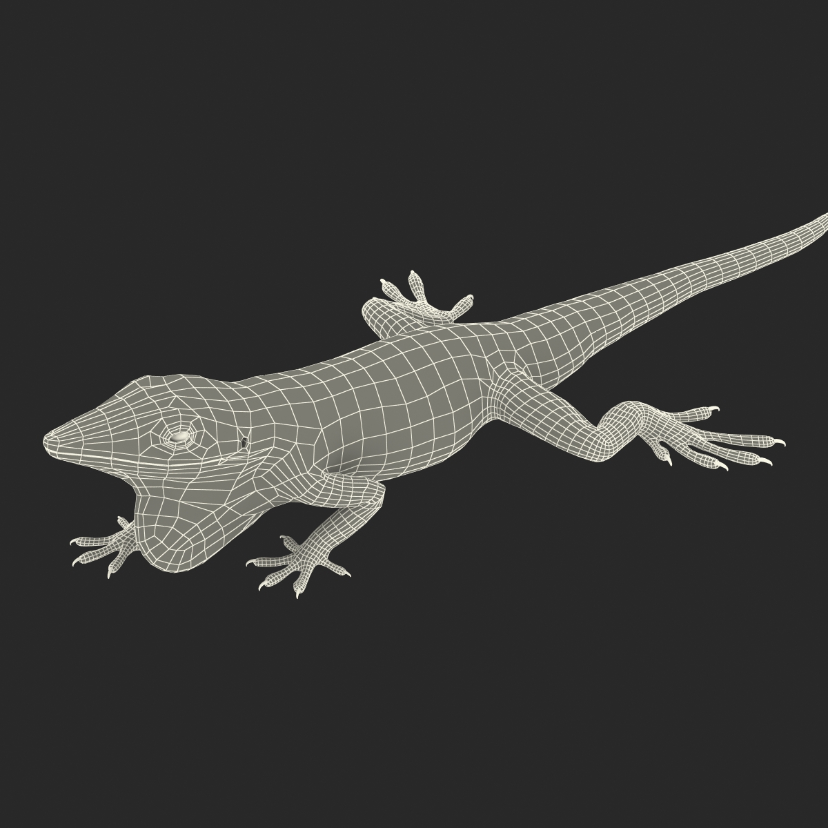 3D Carolina Anole Lizard Pose 3 model