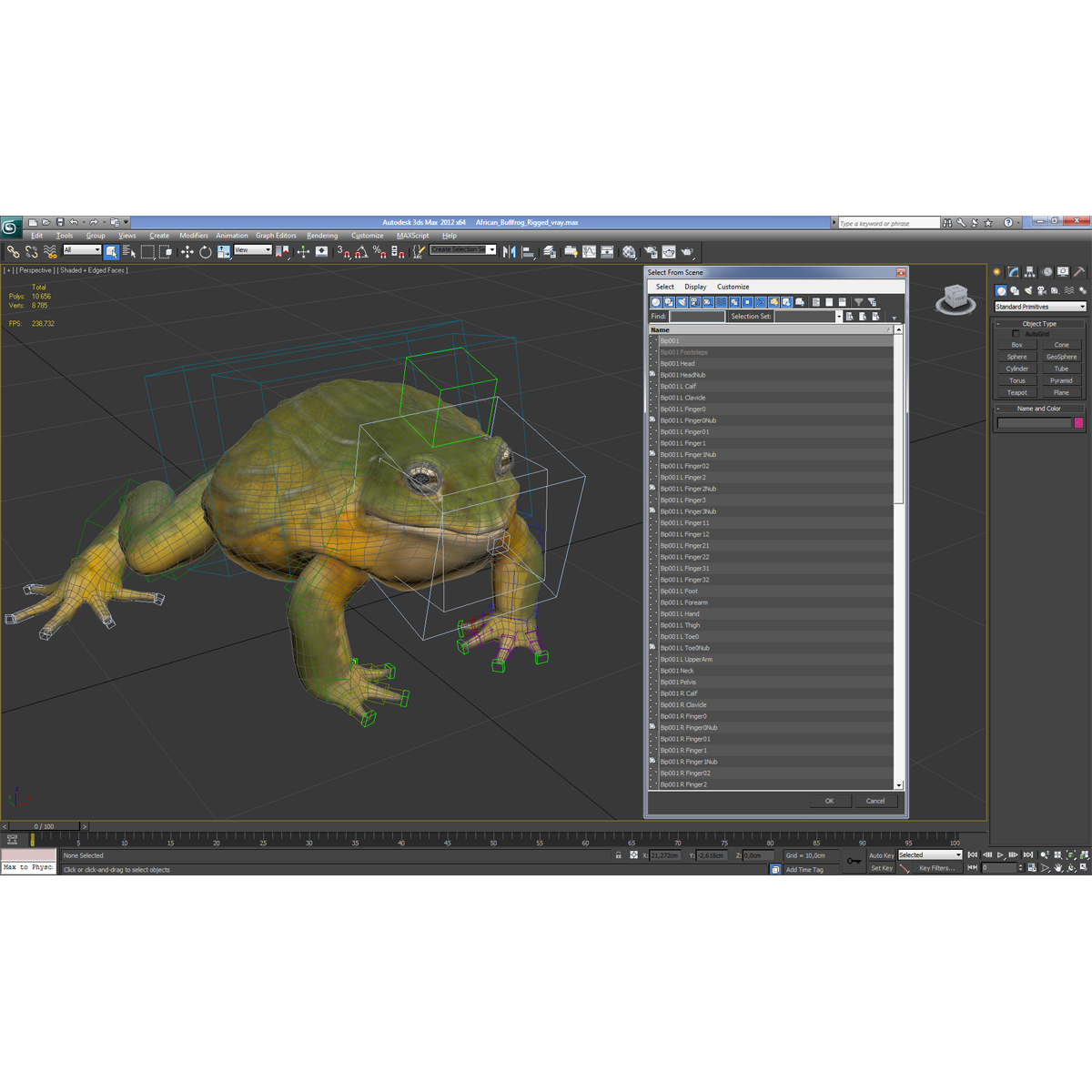 3D African Bullfrog Rigged model