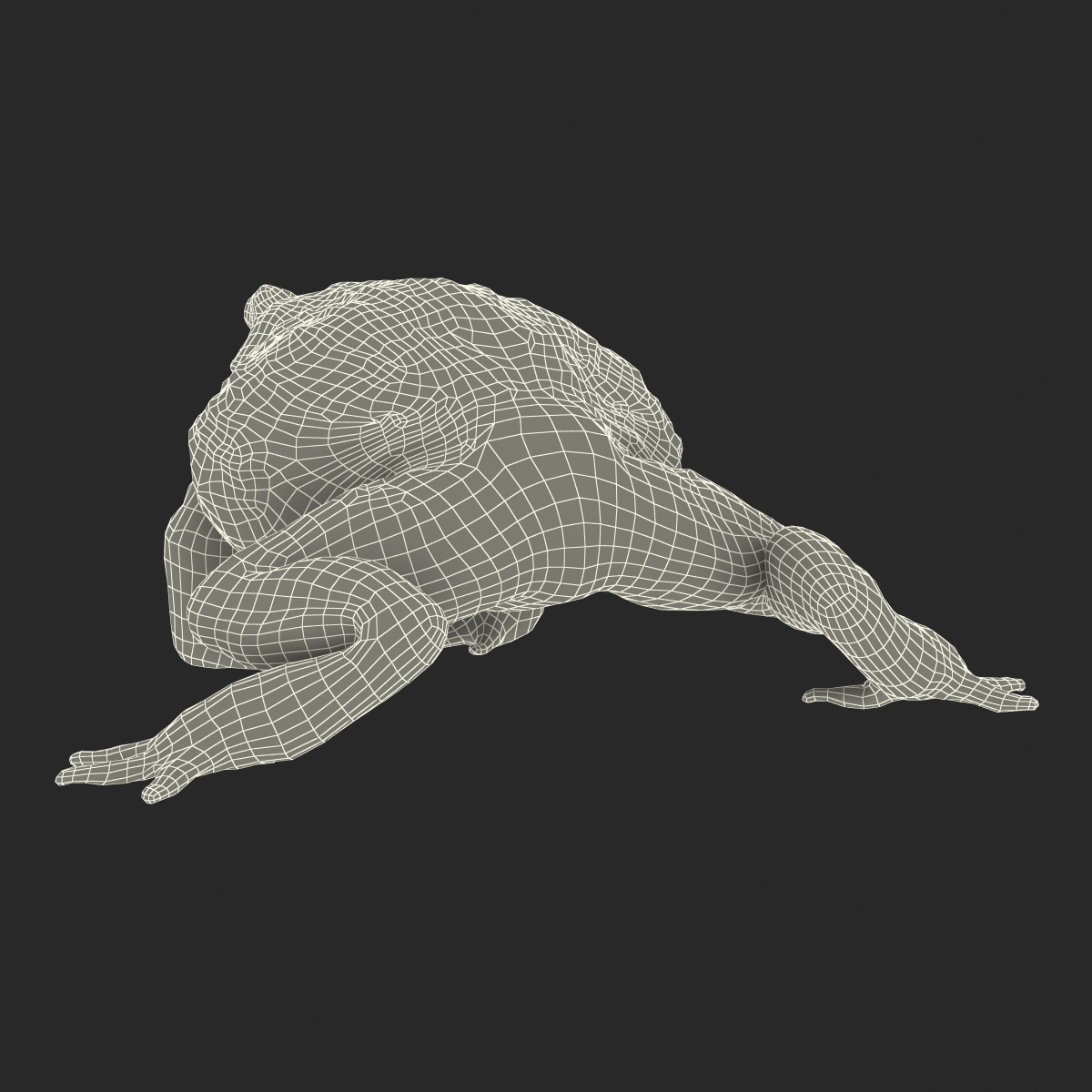 3D African Bullfrog Rigged model