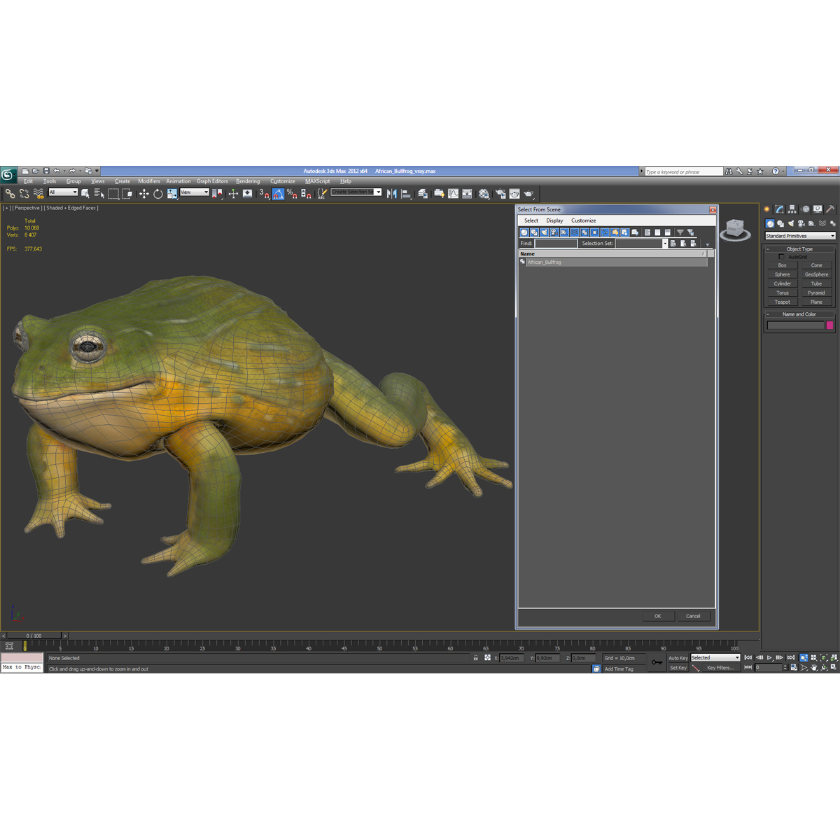 3D African Bullfrog