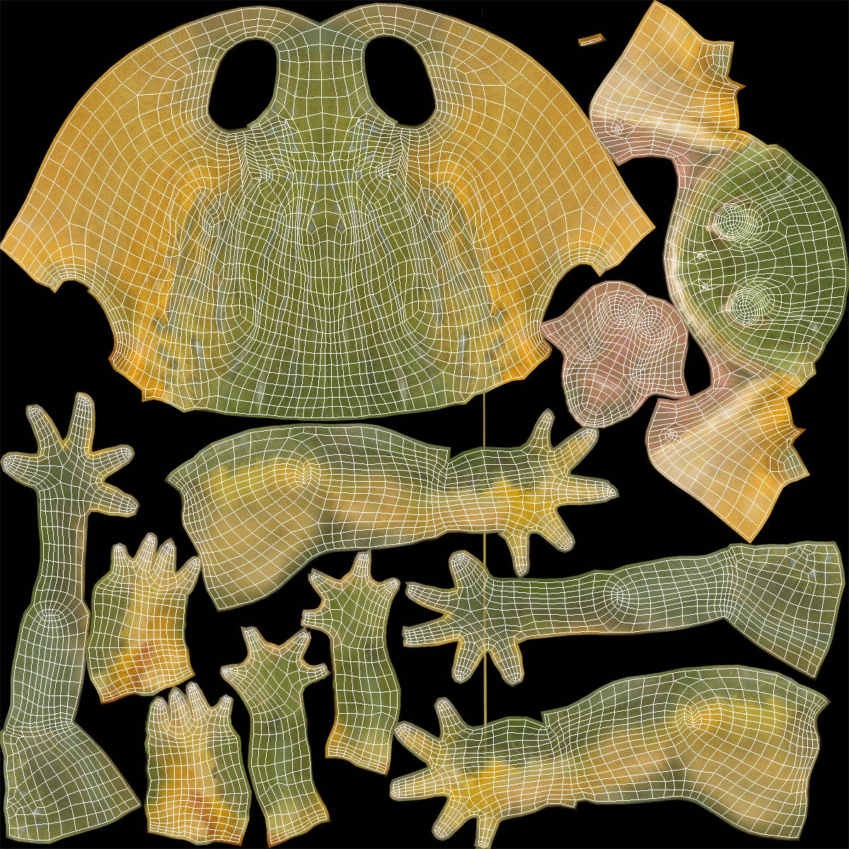 3D African Bullfrog Pose 3 model