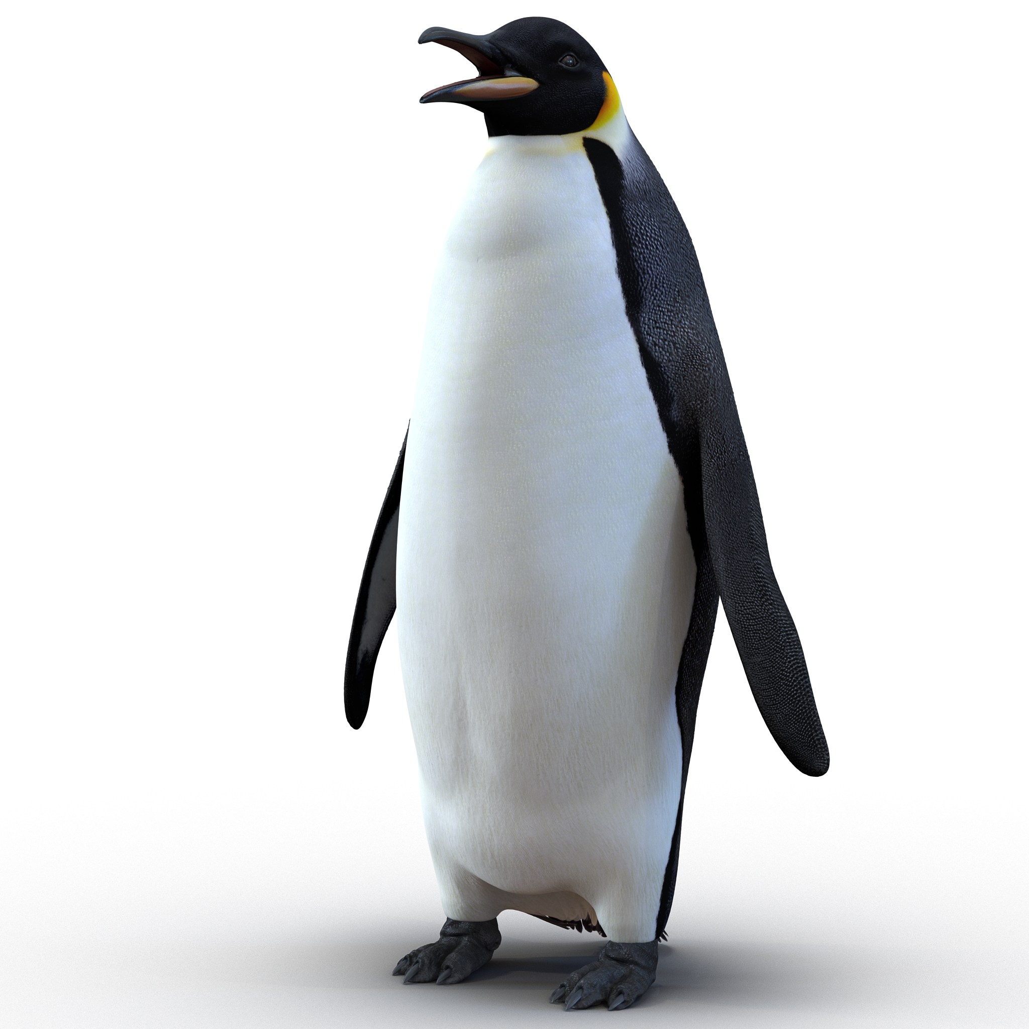 Penguin 3D model