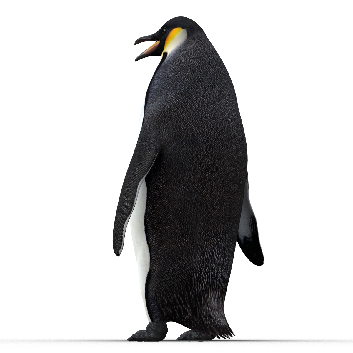 Penguin 3D model