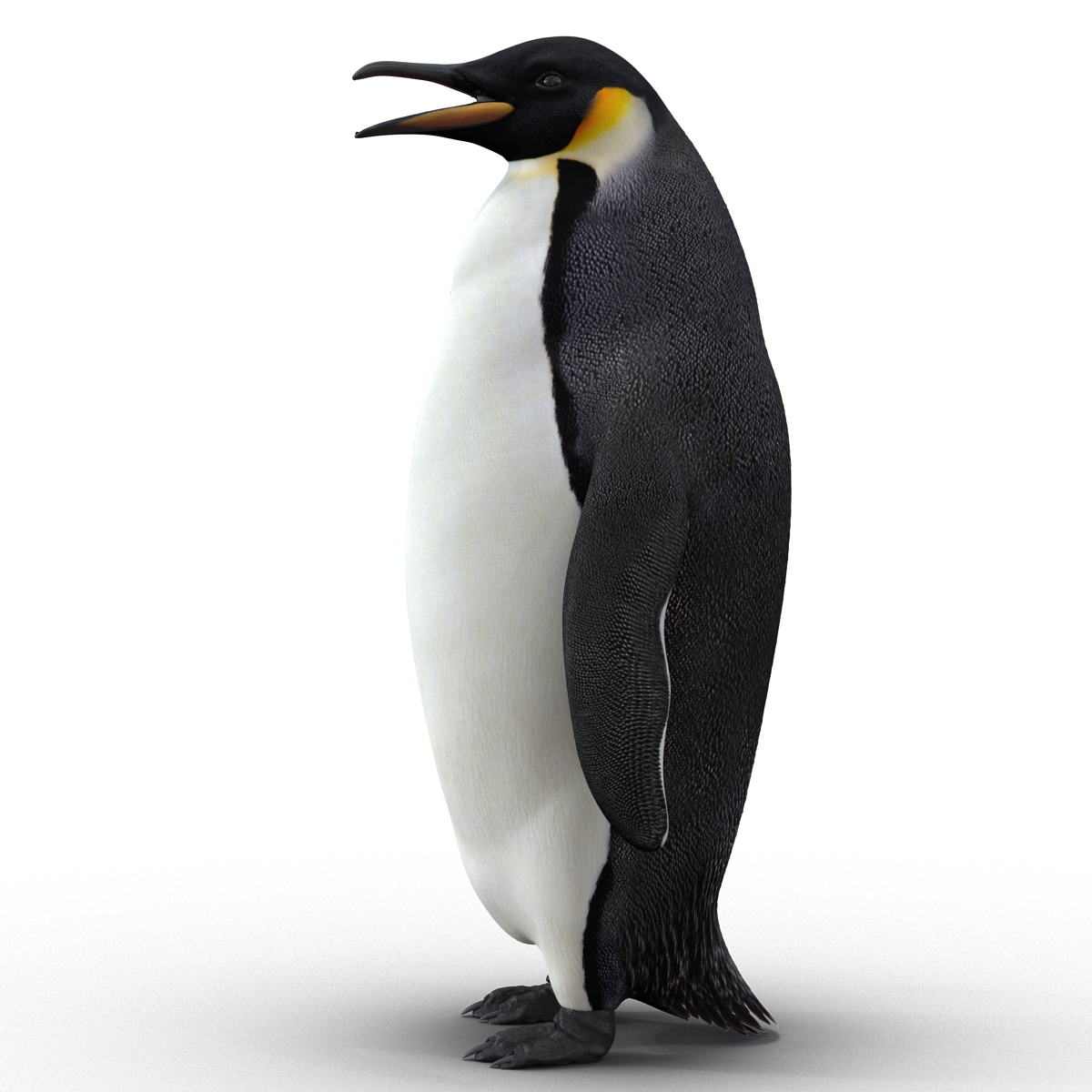 Penguin 3D model