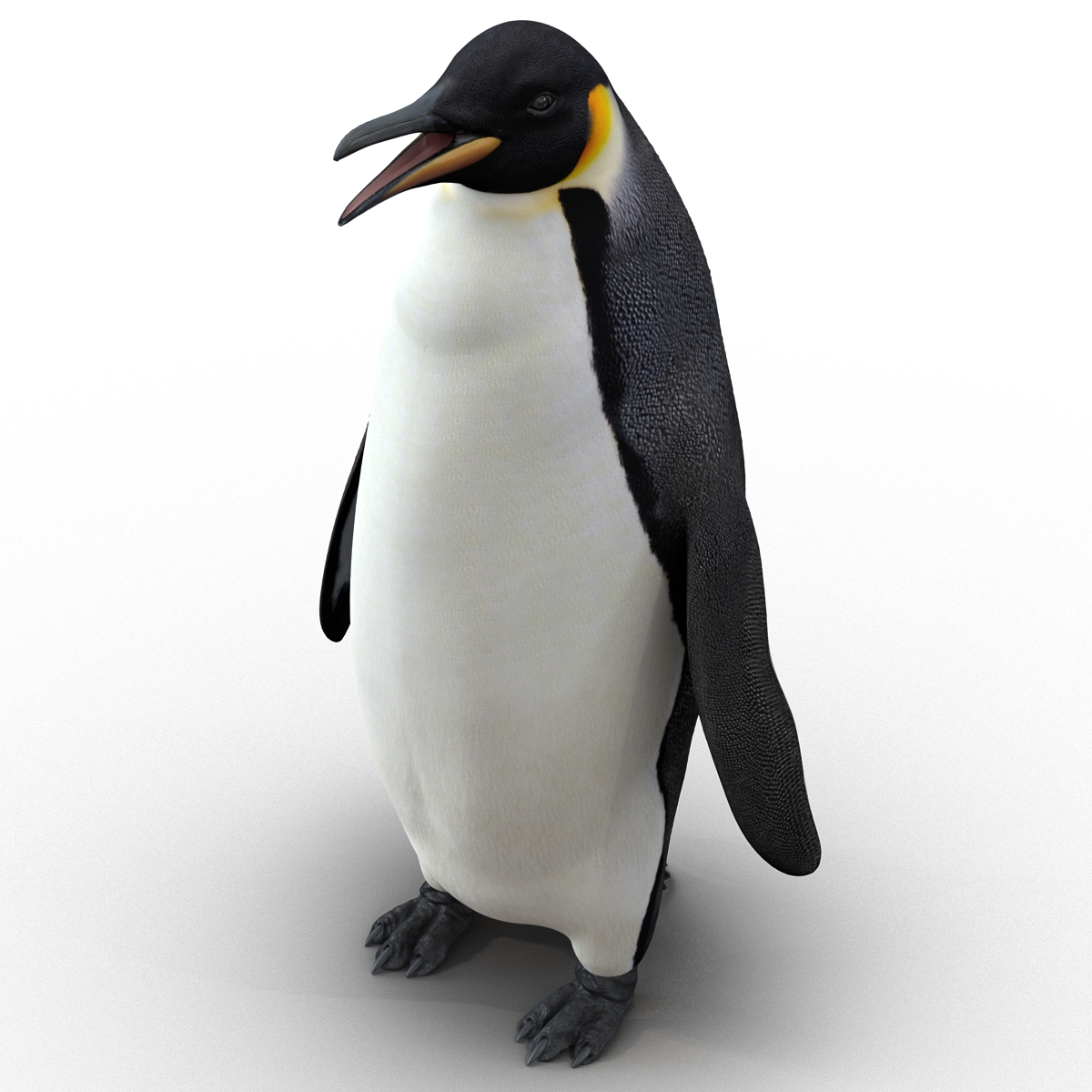 Penguin 3D model