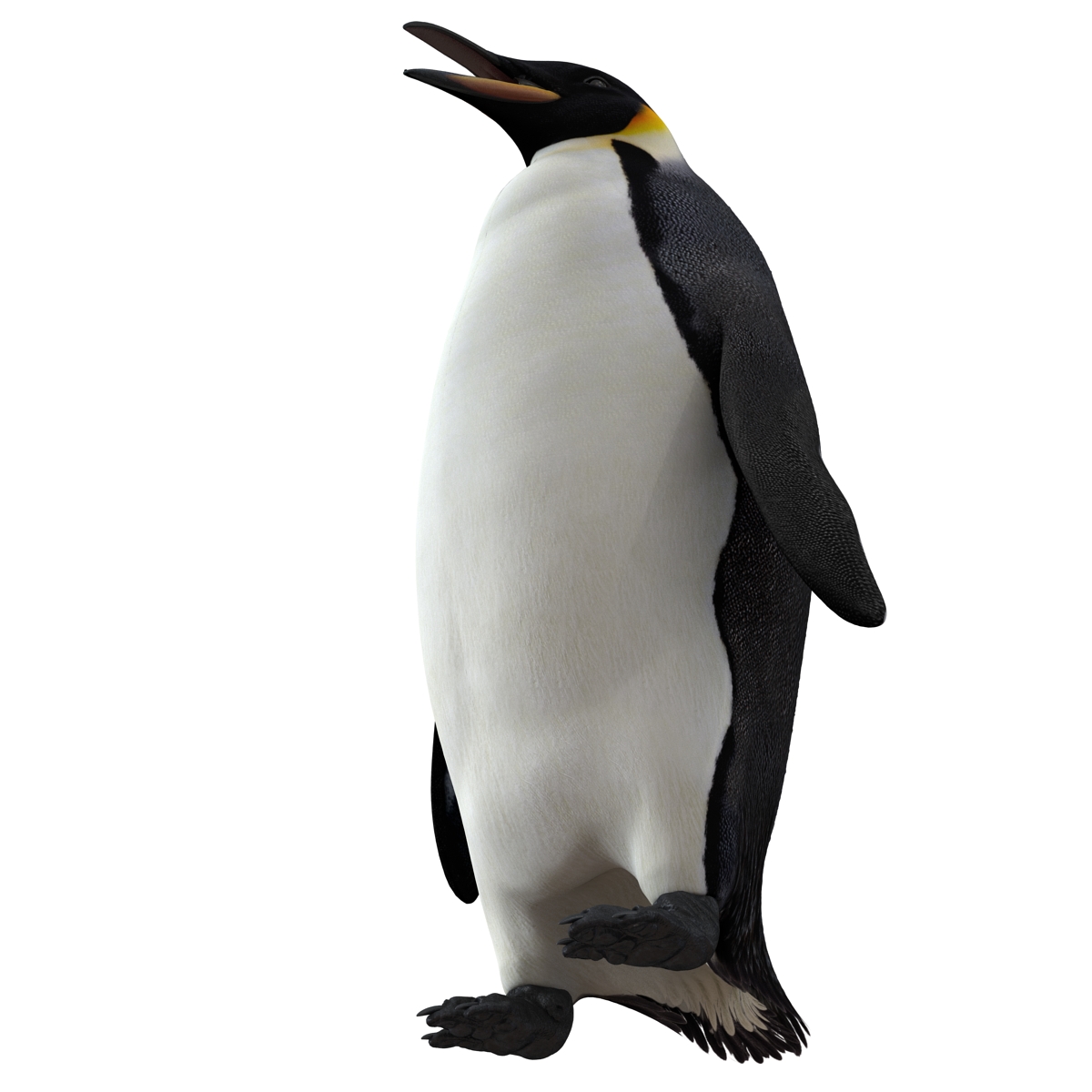 Penguin 3D model