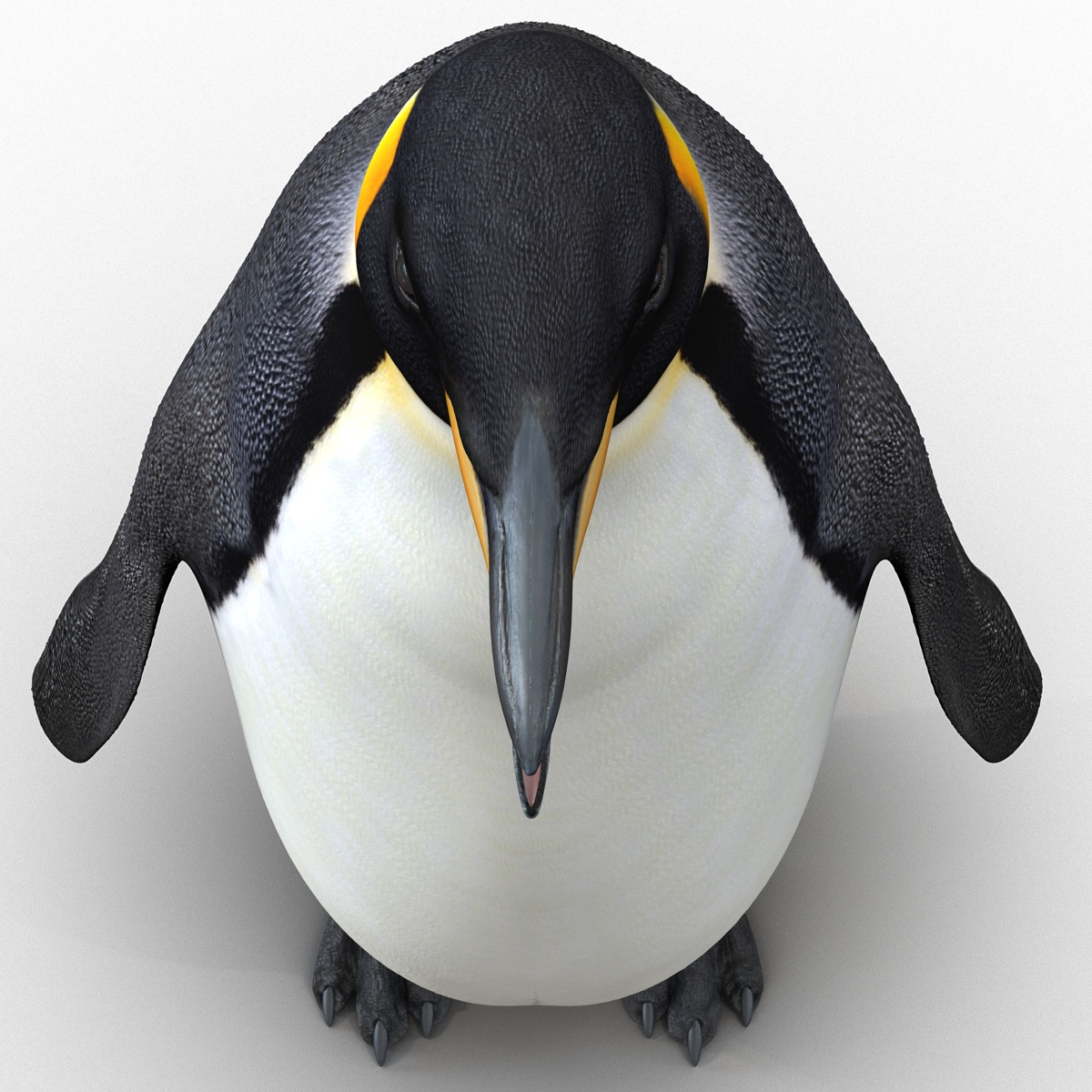 Penguin 3D model