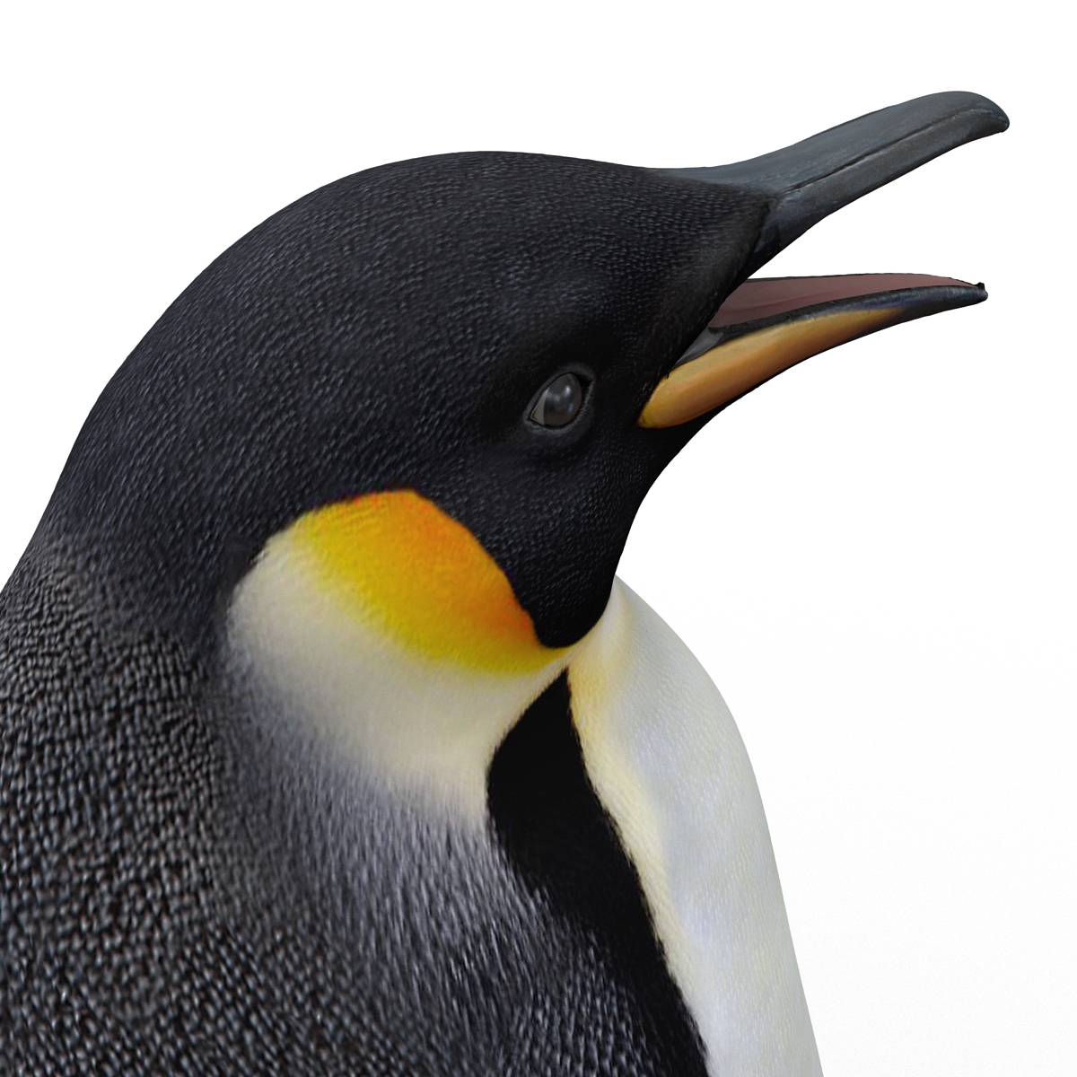 Penguin 3D model