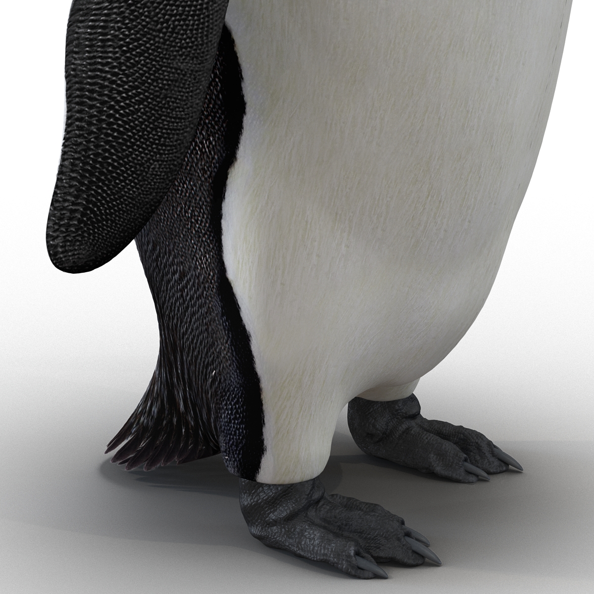 Penguin 3D model