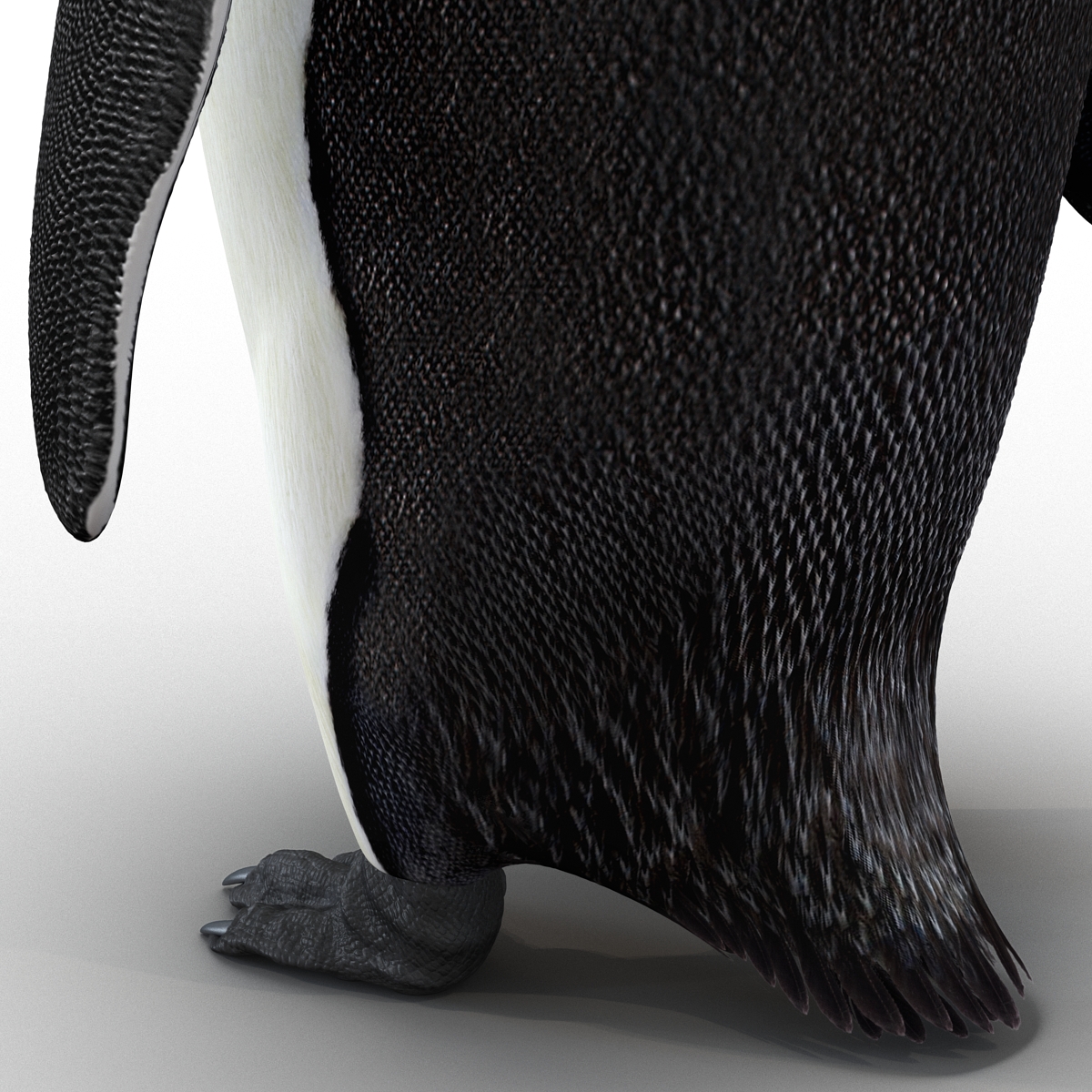 Penguin 3D model