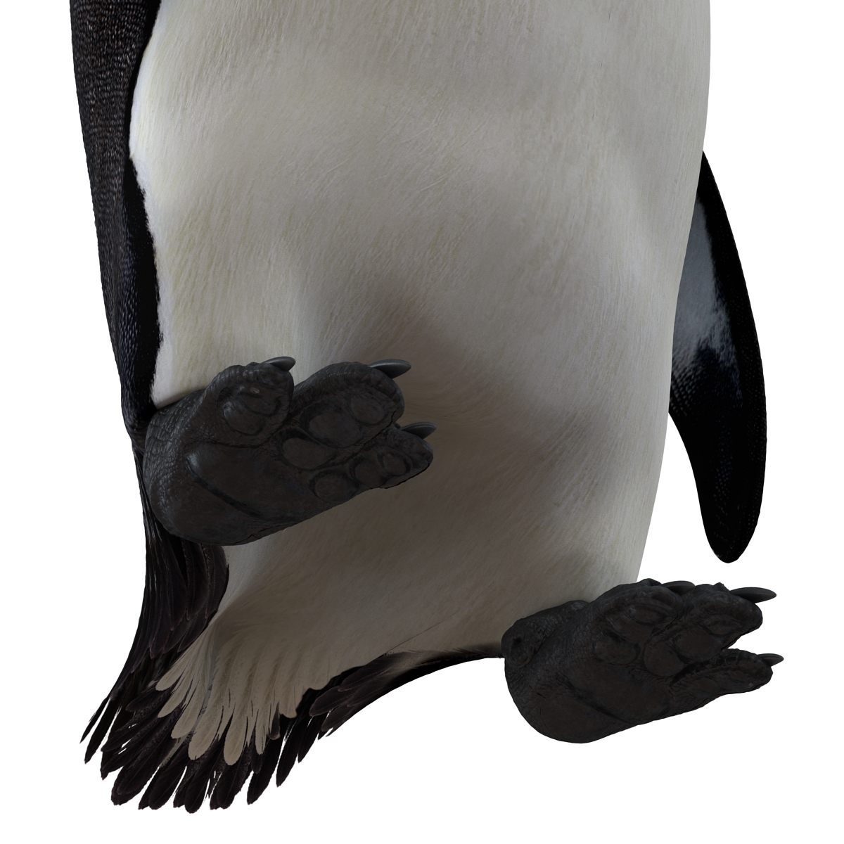 Penguin 3D model