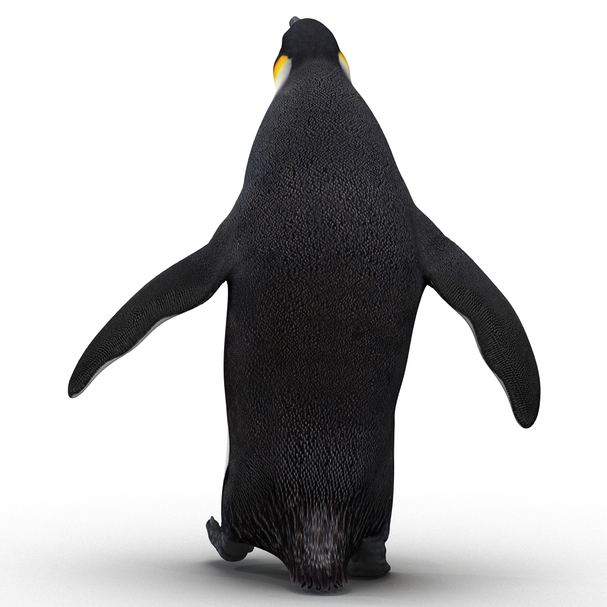 Penguin Pose 2 3D model