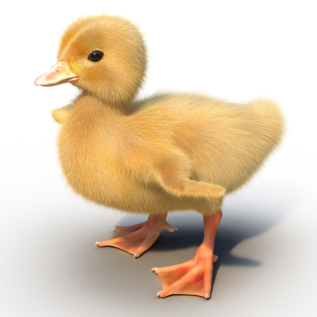 3D model Duckling Rigged