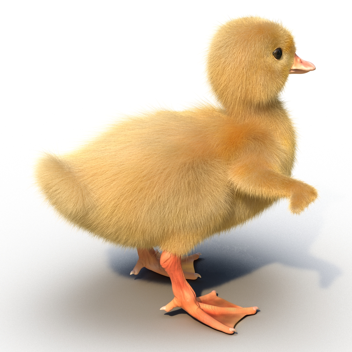 3D model Duckling Rigged