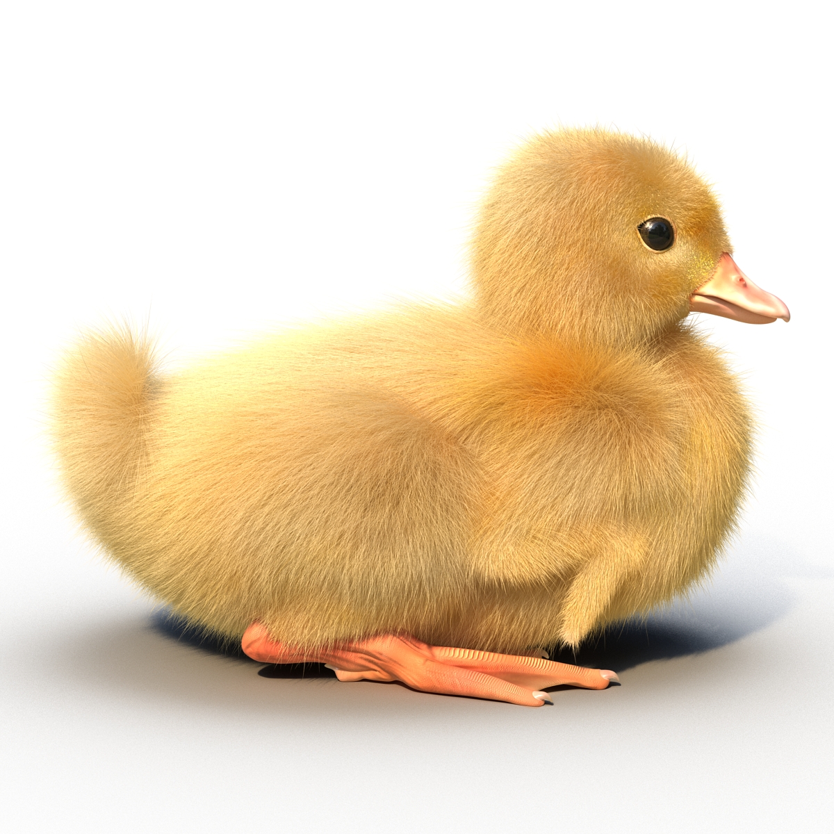 3D model Duckling Rigged