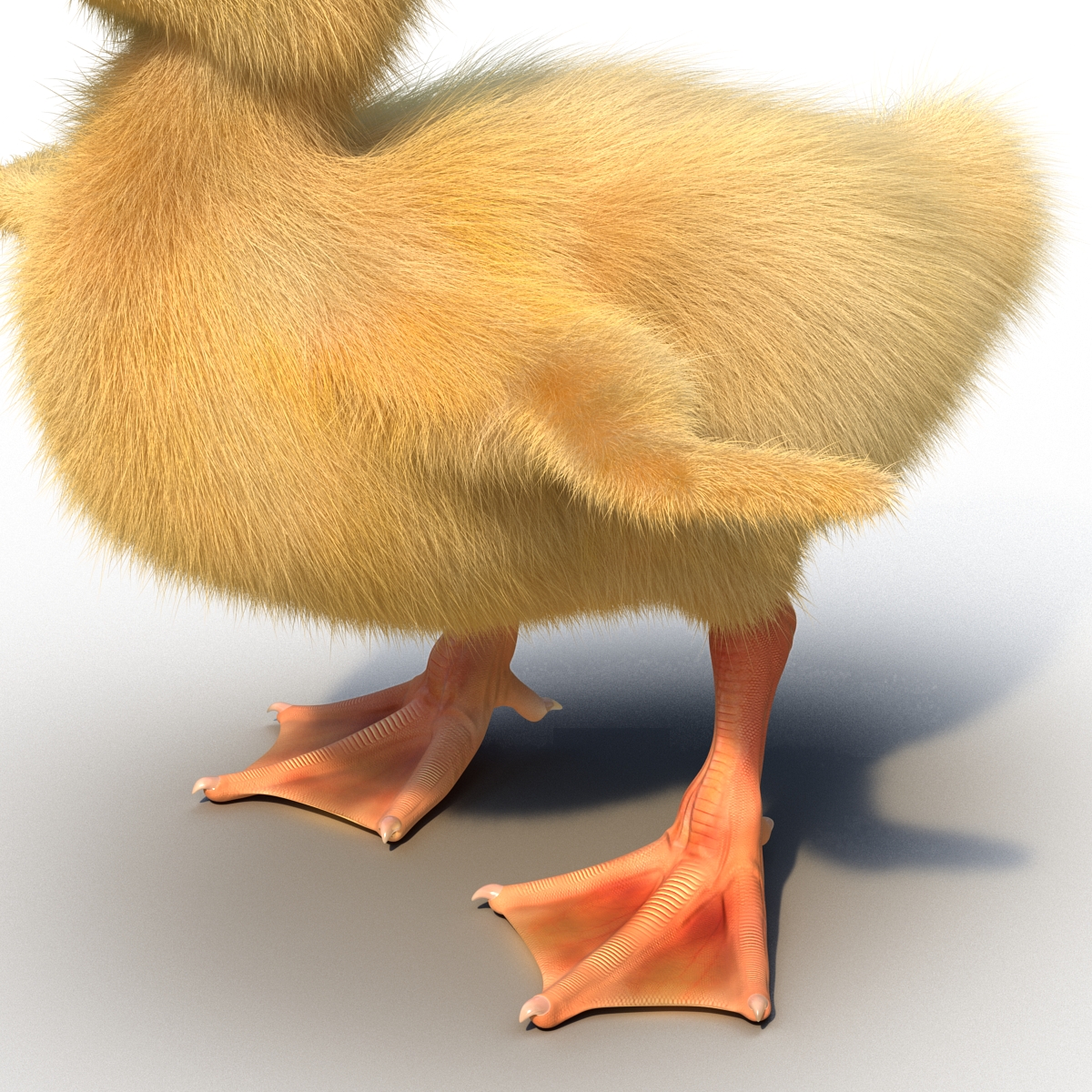 3D model Duckling Rigged