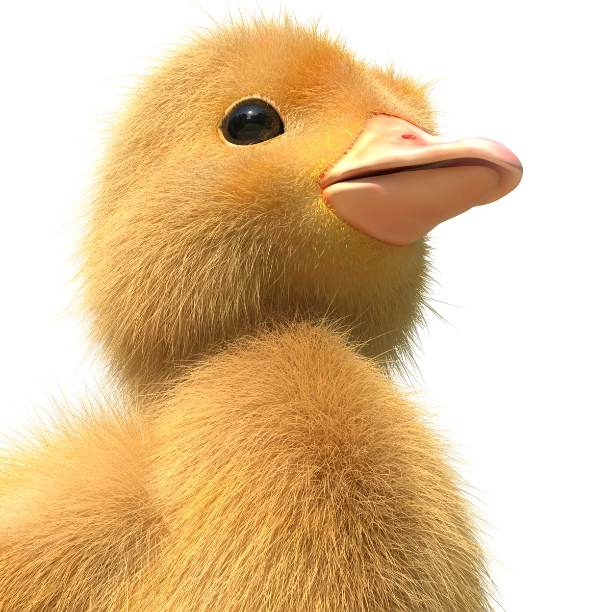 3D model Duckling Rigged